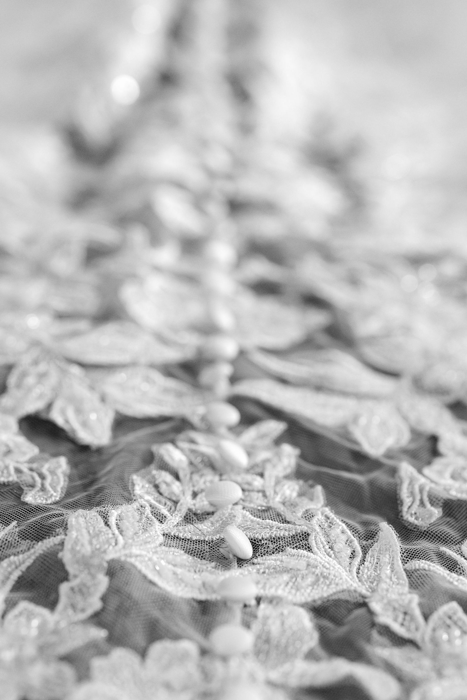 A row of delicate buttons along a heavily laced wedding gown. Image by Emily Joy, wedding photographer in Memphis.