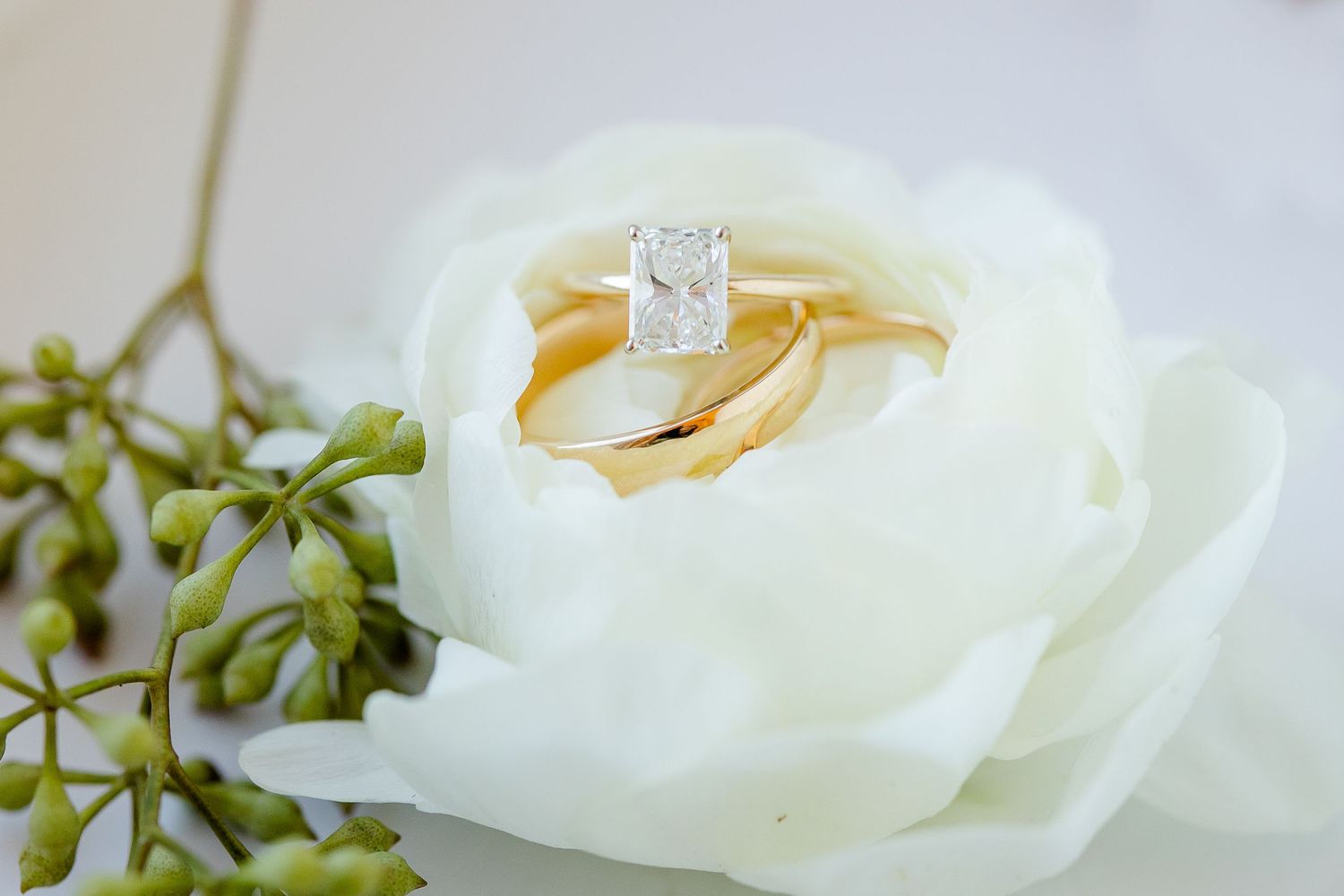 Bride and grooms rings pictured inside a white rose blossom, by Memphis wedding photographer, Emily Joy Photography..