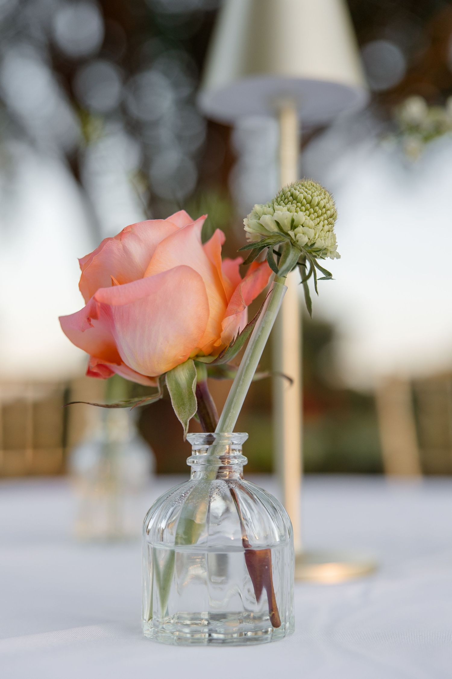 A coral rose floral centerpiece at a wedding reception in a portrait by Emily Joy Photography, wedding photographer in Memphis, TN.