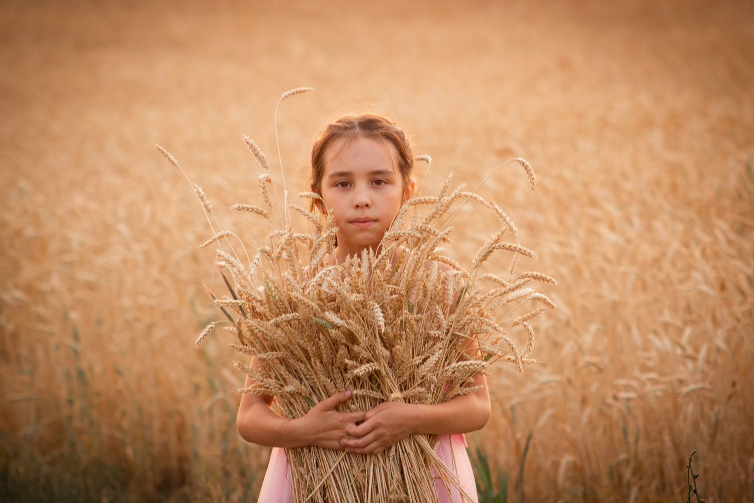 Young girl holding wheat during an outdoor family photography session near Toronto.