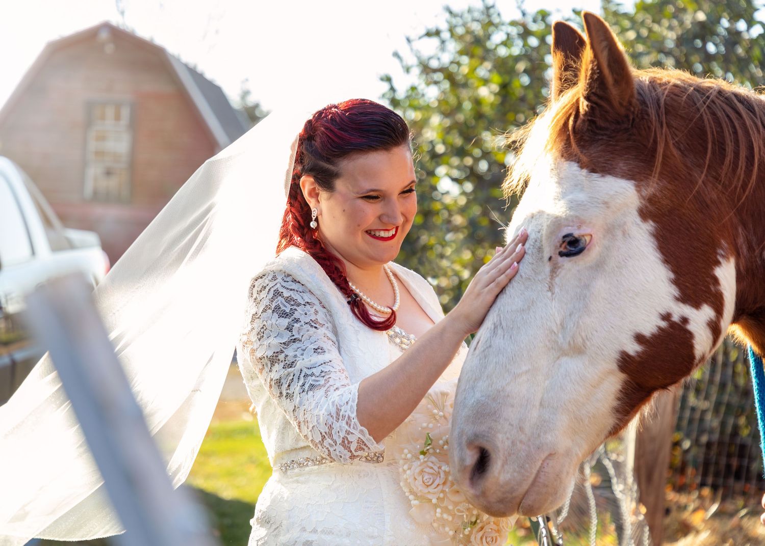 Bride in lace dress pets white horse outside rustic barn during wedding photoshoot.