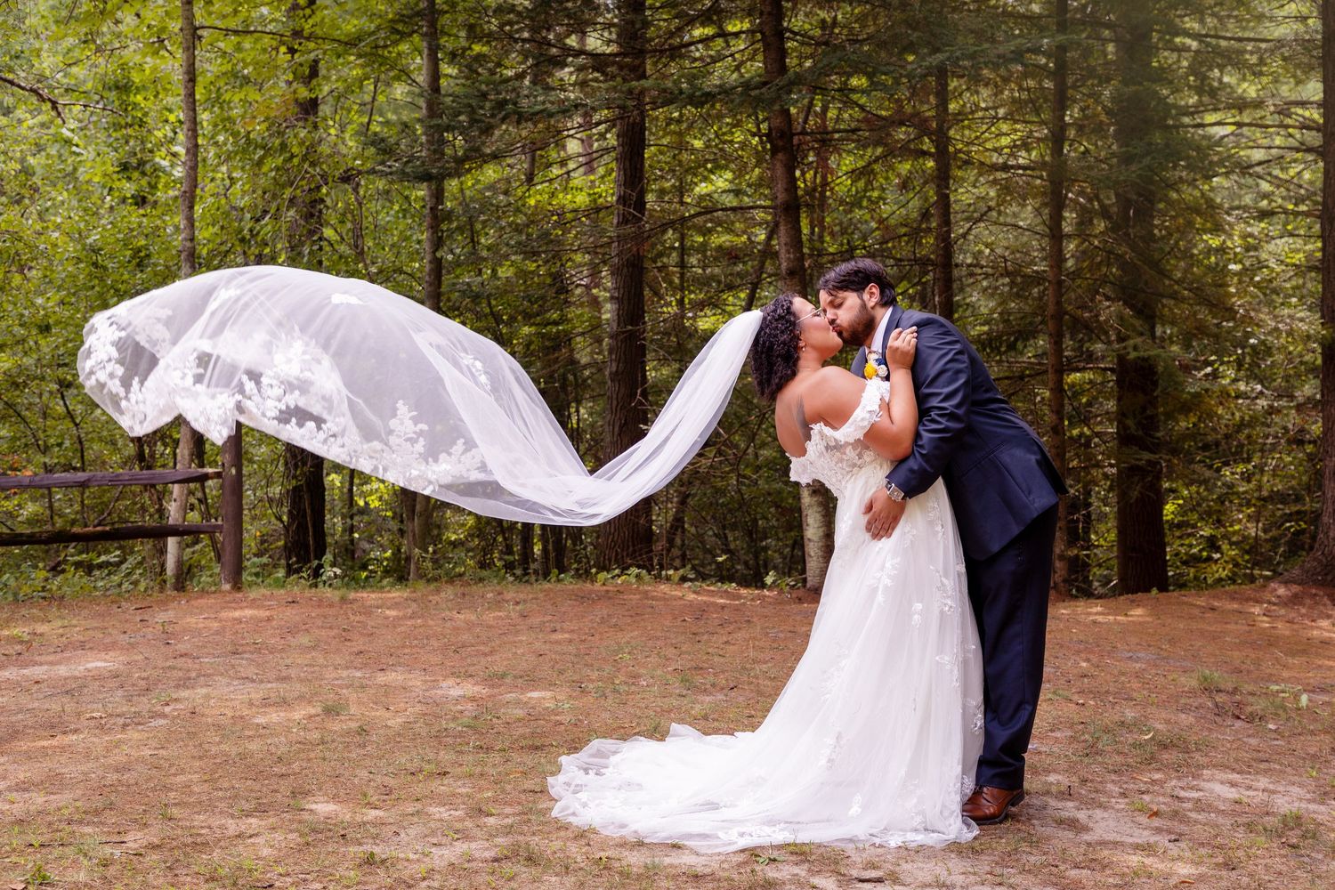 A dramatic wedding photo with flowing white veil against a forest backdrop.