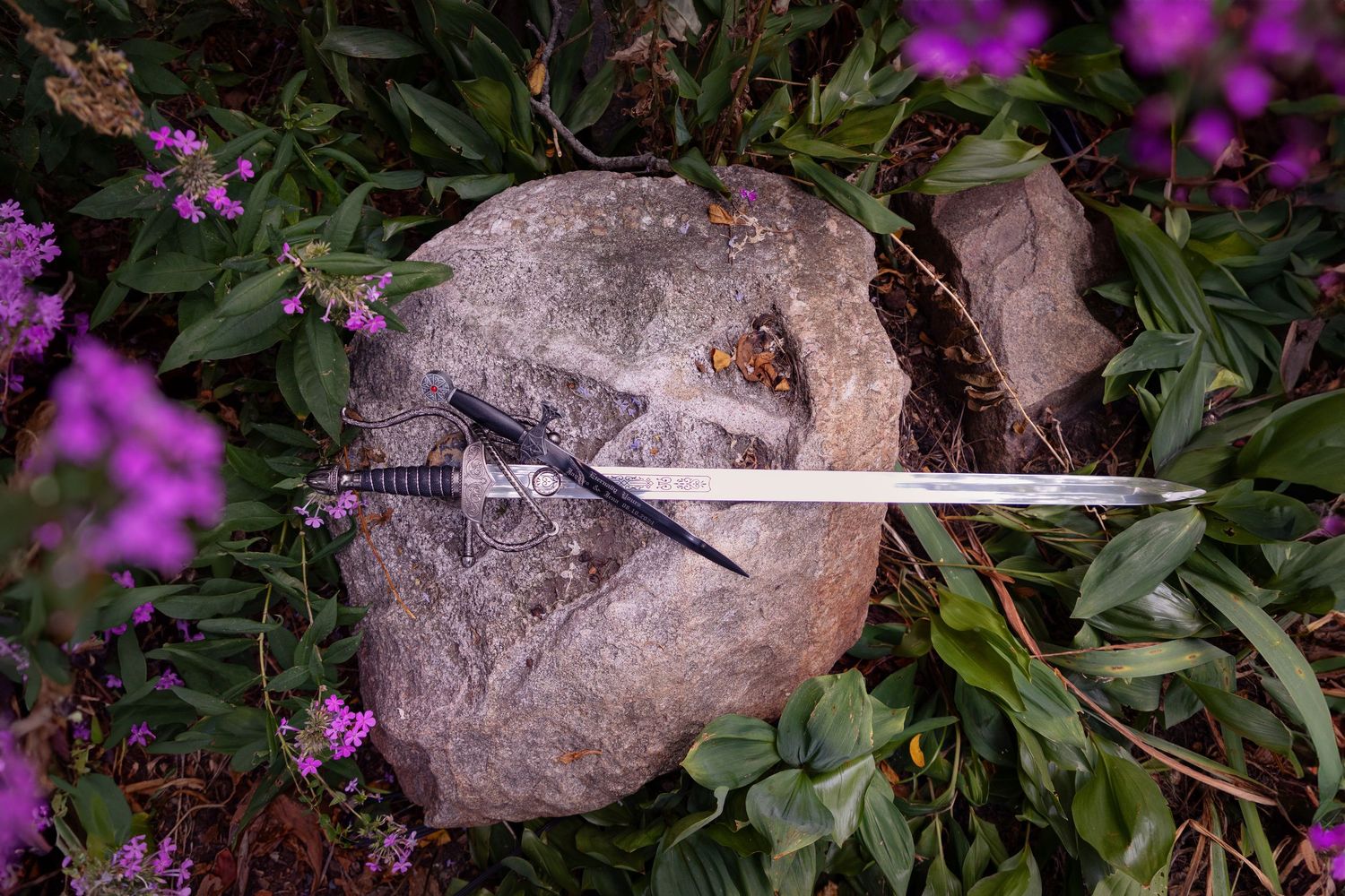 Purple wildflowers bloom among rocks in a natural garden setting.