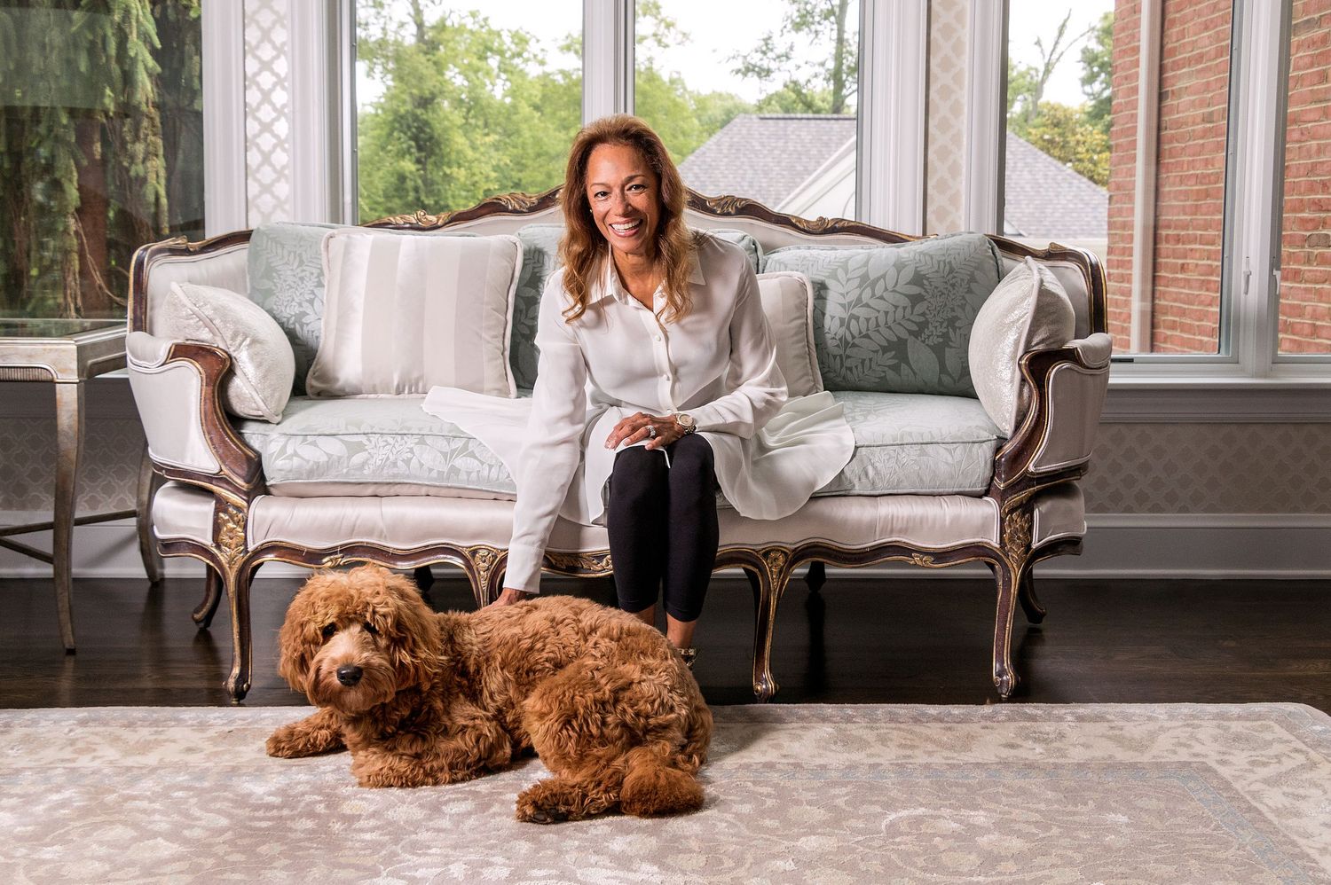 Series of lifestyle photos featuring a brown dog on elegant furniture in a bright room.