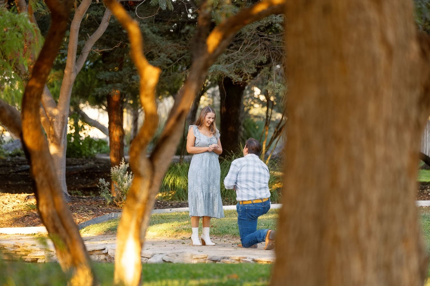 groom to be on his knee proposing to his girlfriend in the gardens of the Gage hotel in marathon Texas