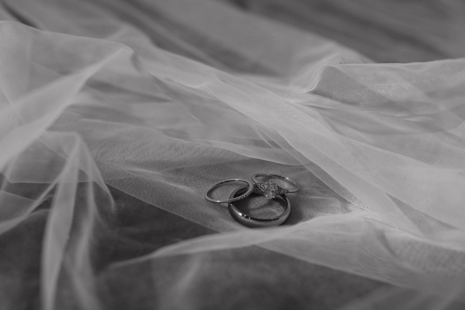Wedding rings photographed through soft white tulle veil creating dreamy effect.