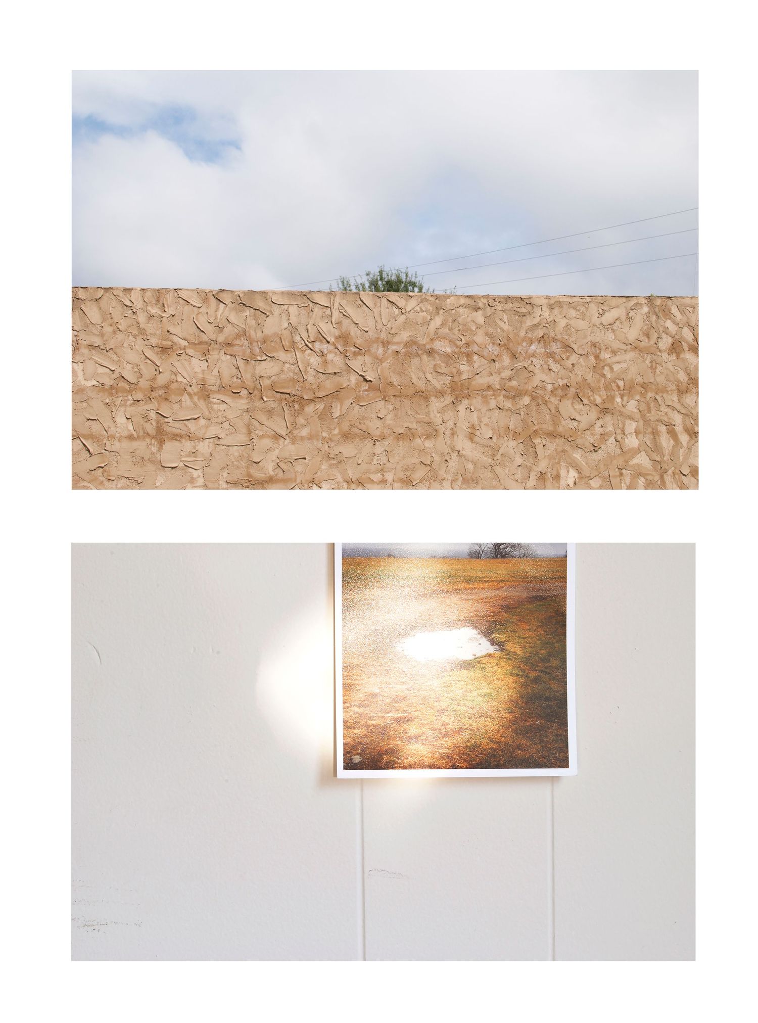 Top photo alt text: Top of a tree visible behind a wall
Bottom photo alt text: Light shining on a photograph hung on a wall