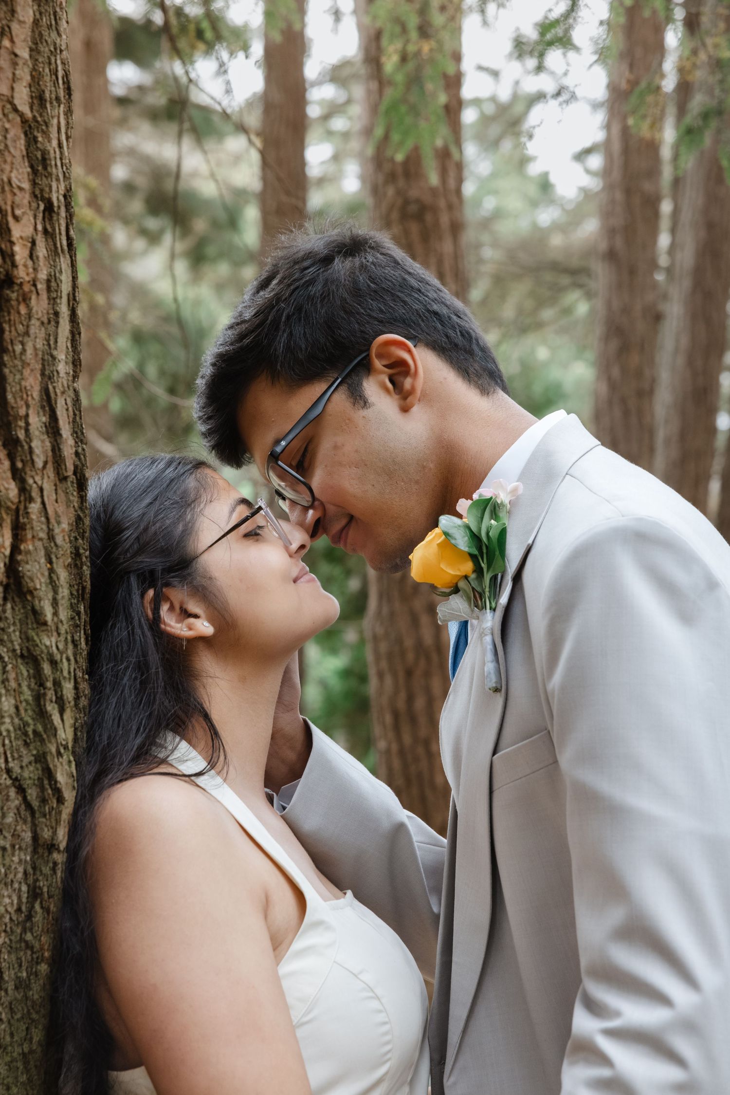Intimate wedding portraits of a couple sharing tender moments among tall pine trees.  Rochester conservatory wedding photographer