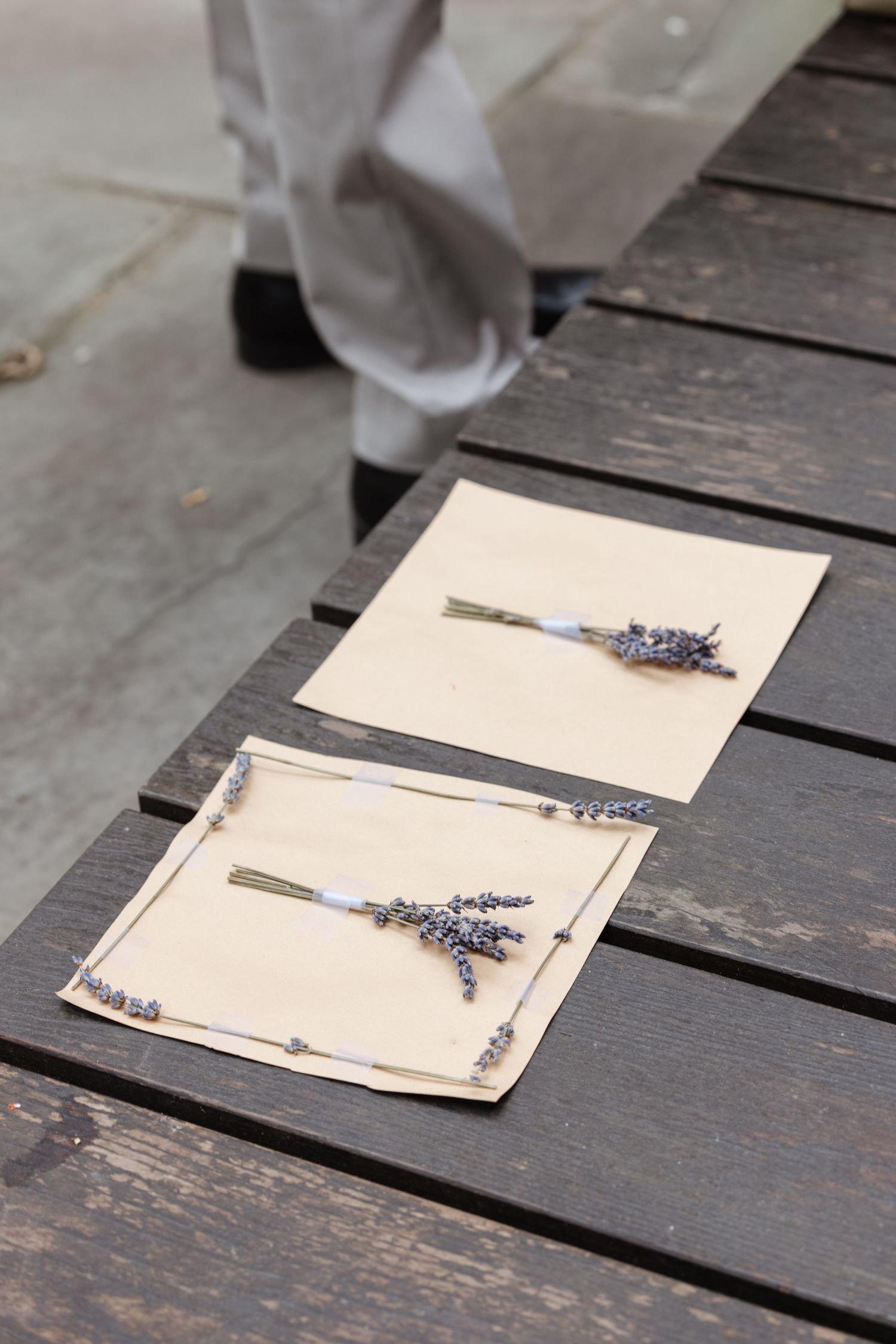 Two vintage paper cards with dried lavender sprigs displayed on dark wooden decking.  St. Josephs park wedding photographer