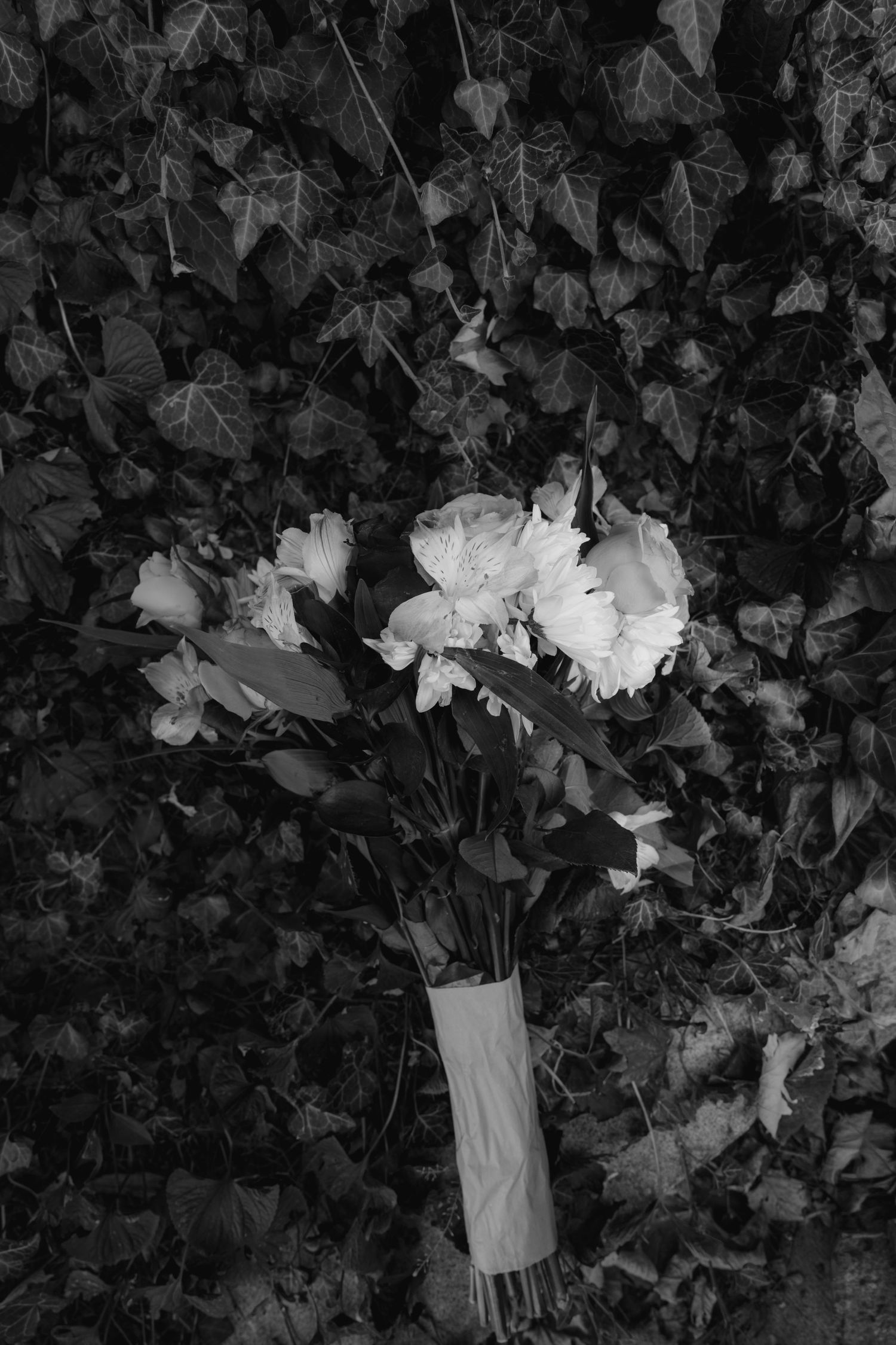 Black and white artistic shots of white flowers and a wedding bouquet.  Rochester conservatory wedding photographer