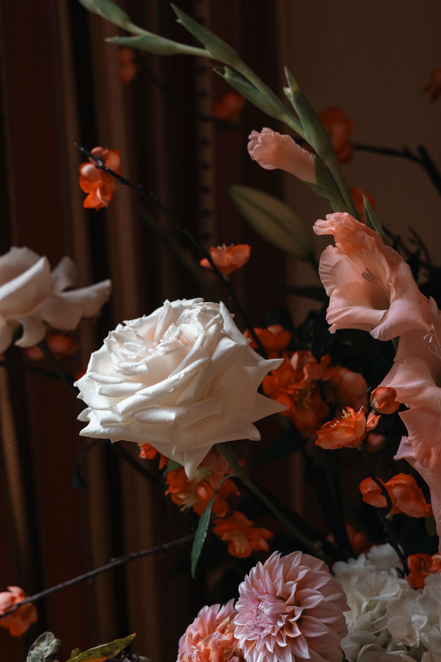 Close-up of pink and white roses with orange accents in romantic lighting. Film wedding photographer Rochester  NY