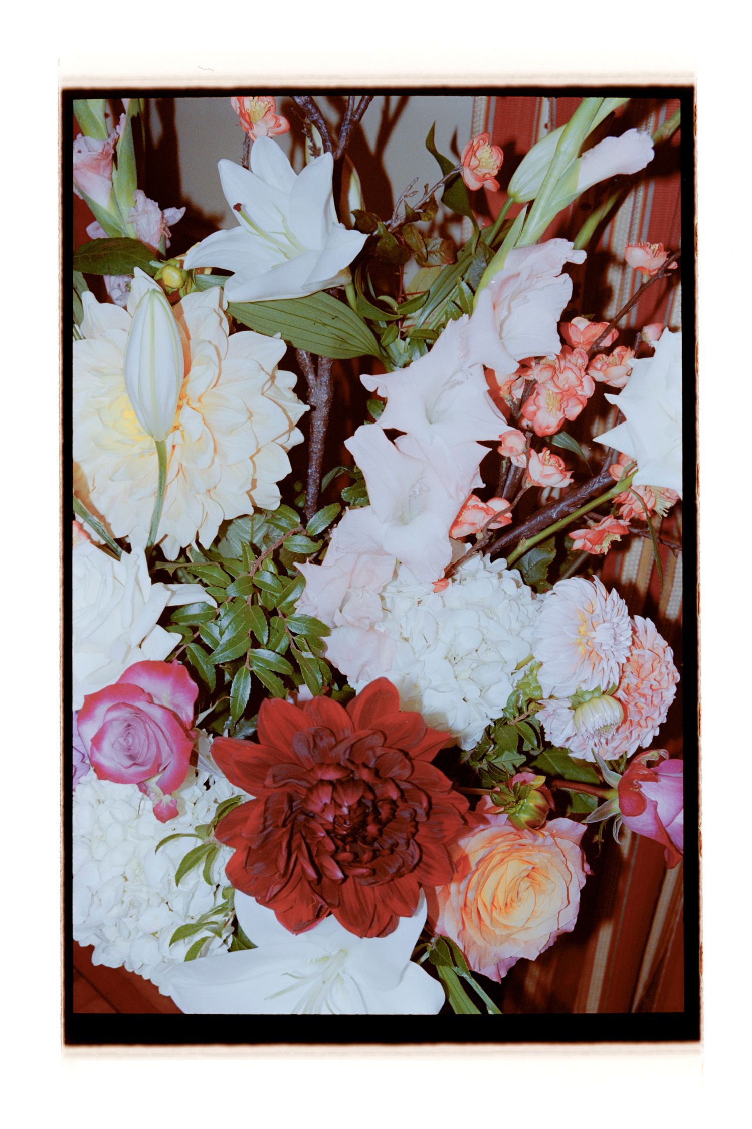 Vibrant floral arrangement featuring red, pink, and white blooms. Rochester NY Film wedding photography