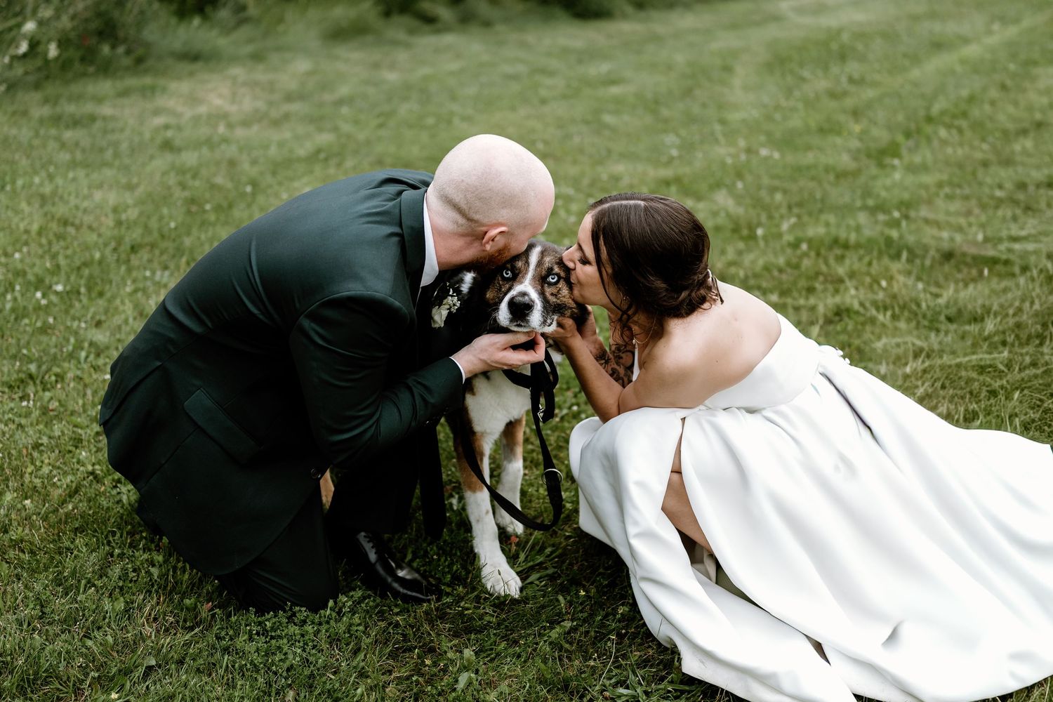 Wedding couple kneels to pet dog on grassy lawn.