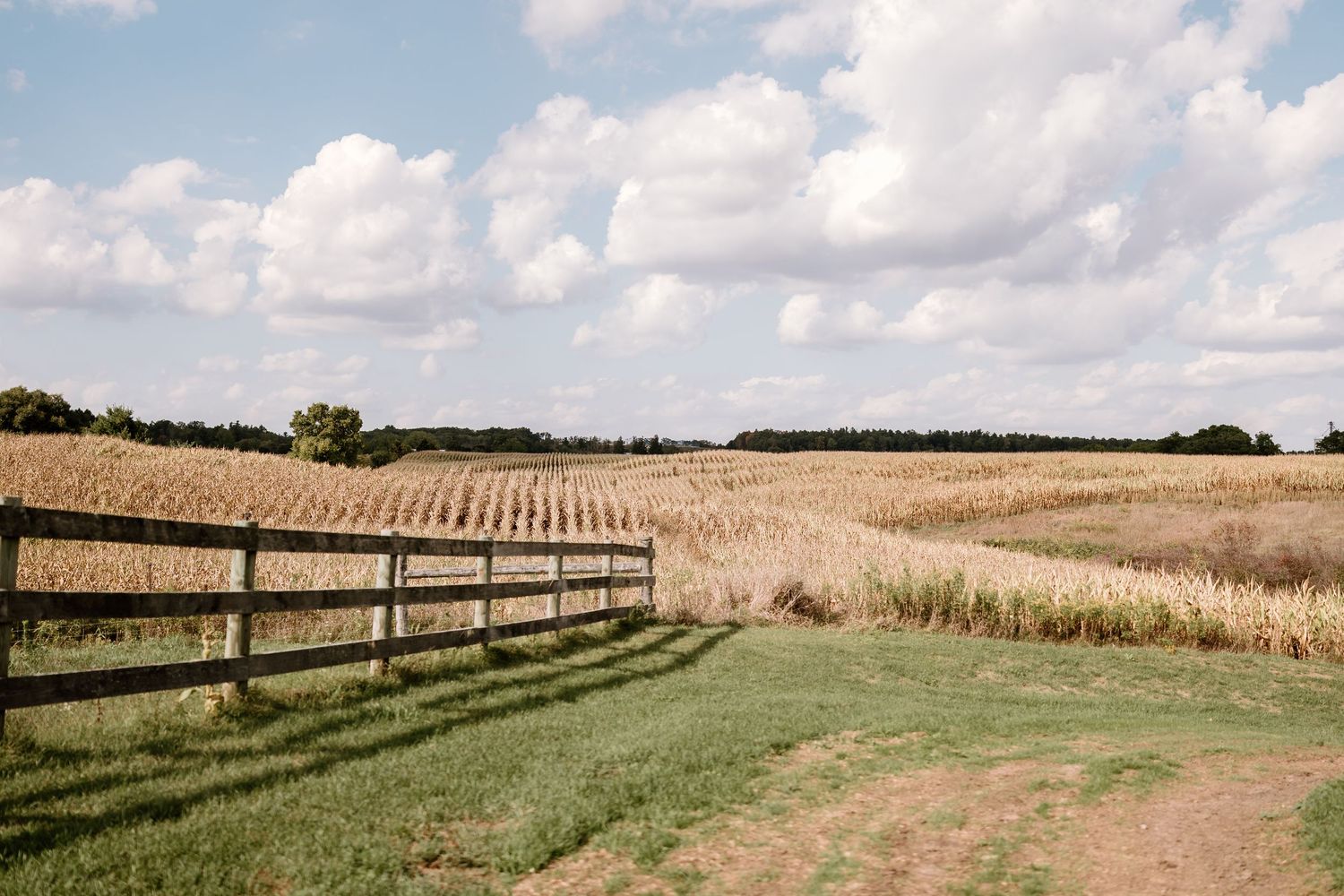 A rustic countryside landscape with wooden fencing and golden wheat fields under blue skies.