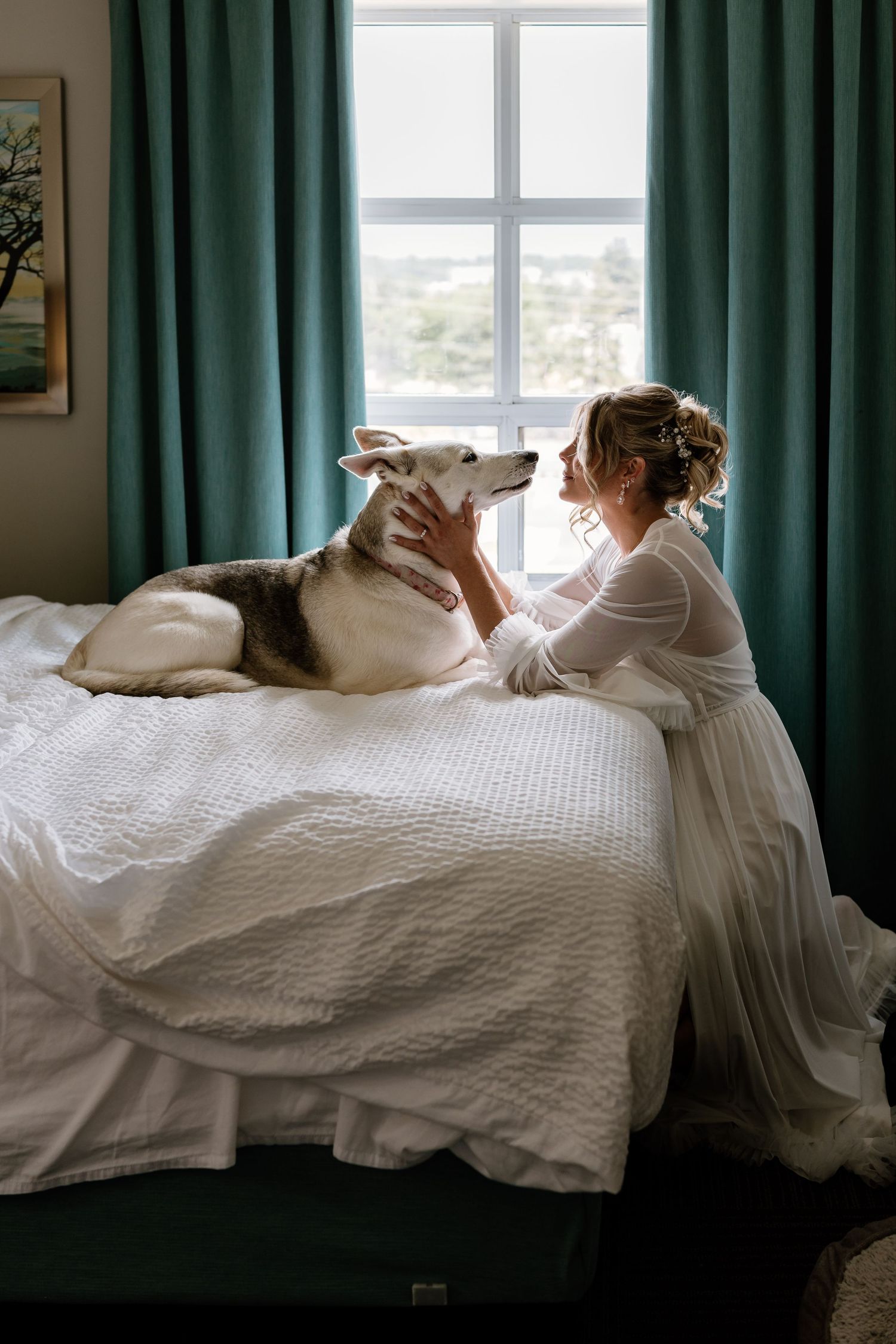 Bride in white dress sitting on bed with Husky dog by window with teal curtains.