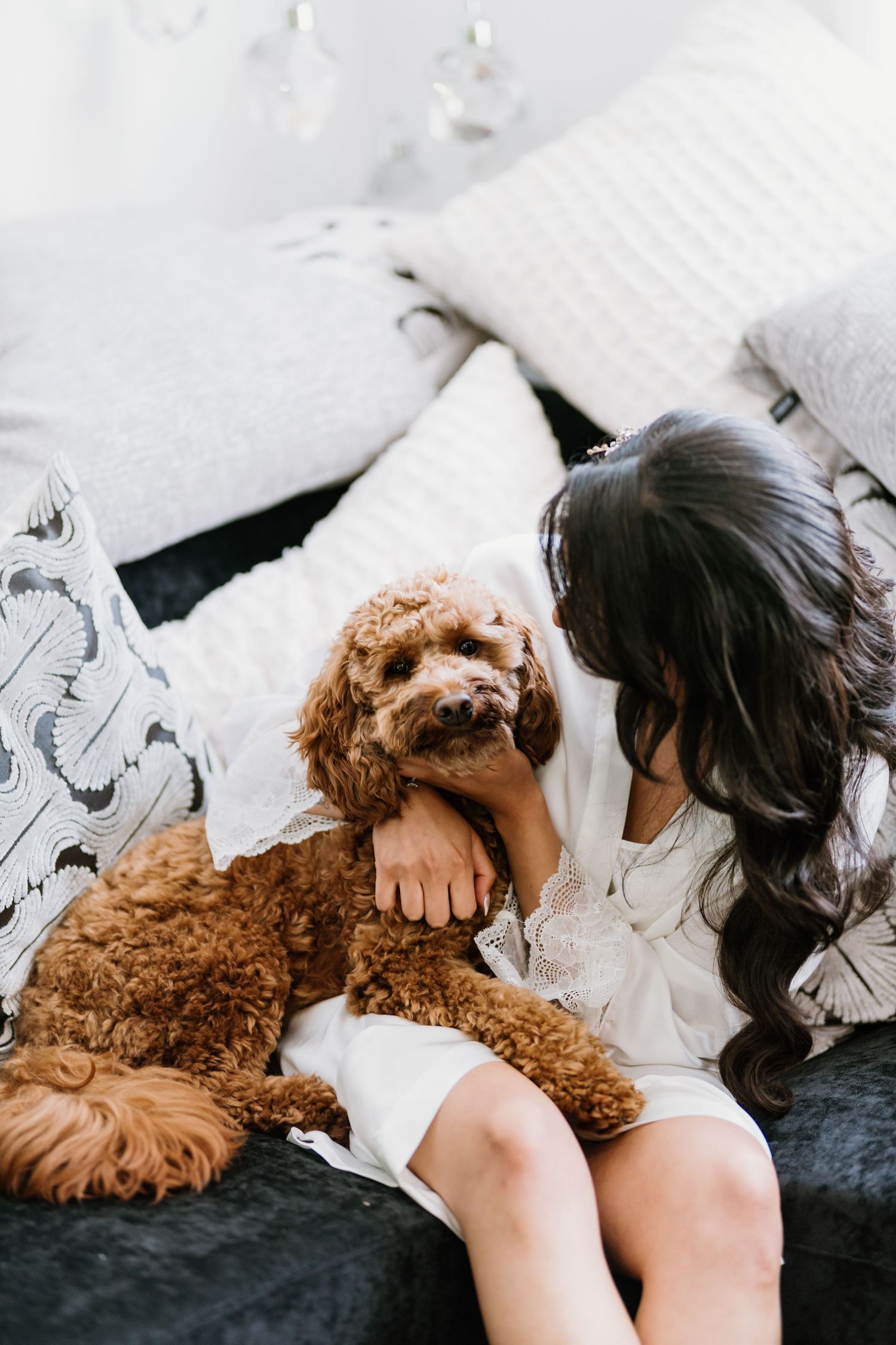 A dark-haired bride in white dress cuddles an adorable brown poodle on a pillow-covered sofa.