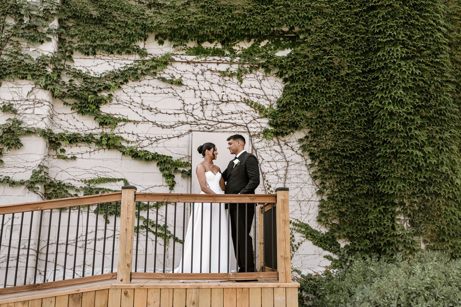 A wedding couple poses on a wooden deck against an ivy-covered wall.