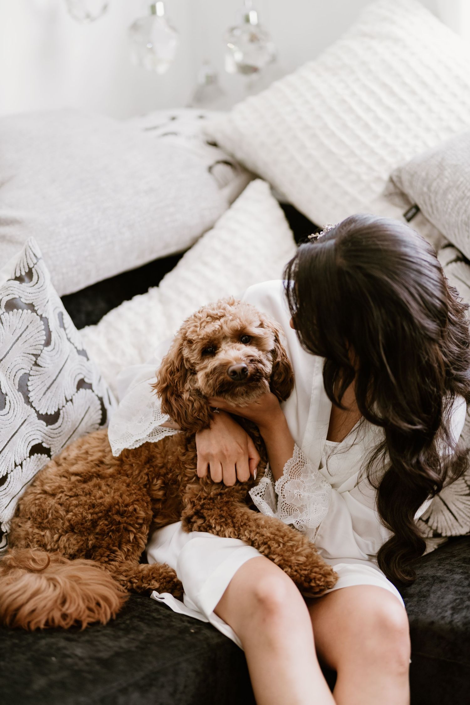 Brown fluffy dog cuddling on white bedding with cozy knit textures.
