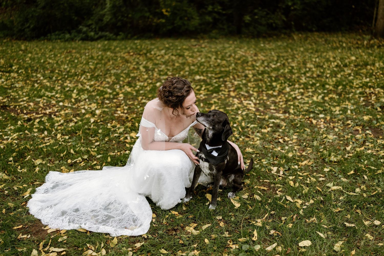 Bride in white lace dress sits on grass with black dog during outdoor wedding photoshoot.