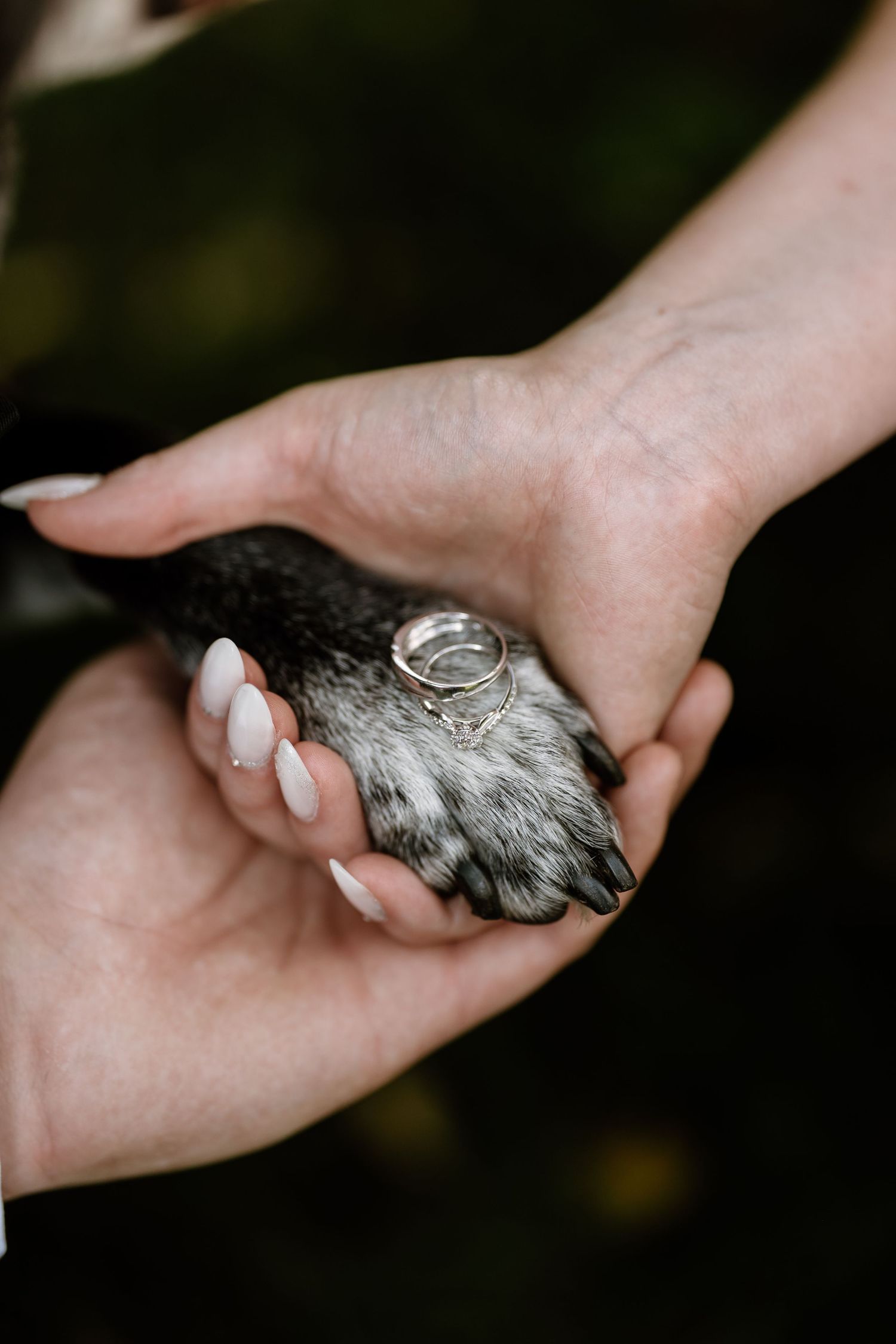 Close-up shots of hands holding a delicate silver ring against a dark background.