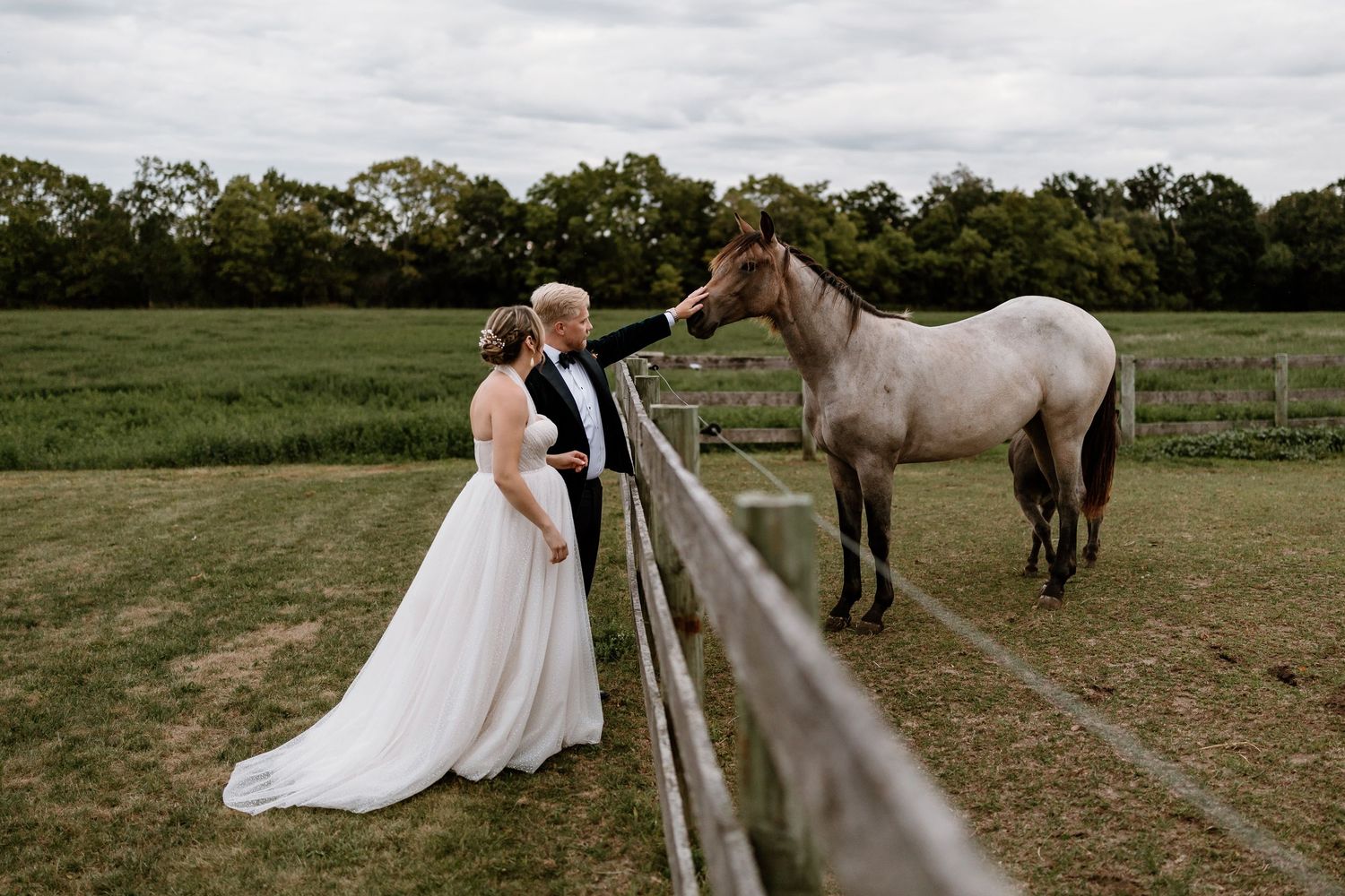 Wedding couple poses near horses in a rustic countryside setting.