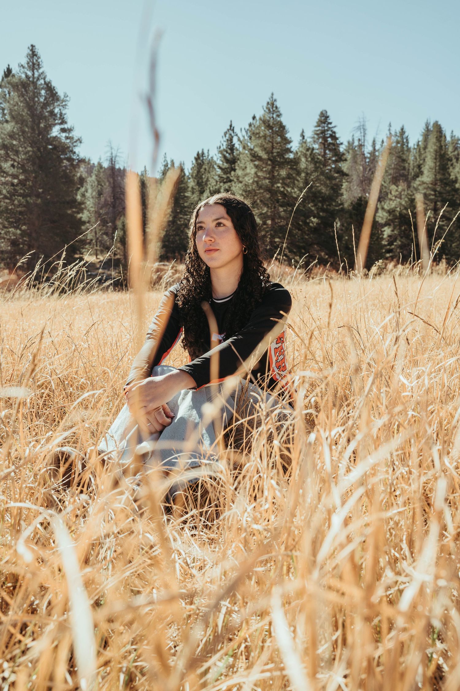 A woman sits in a golden wheat field on a sunny day with evergreen trees in the background.
