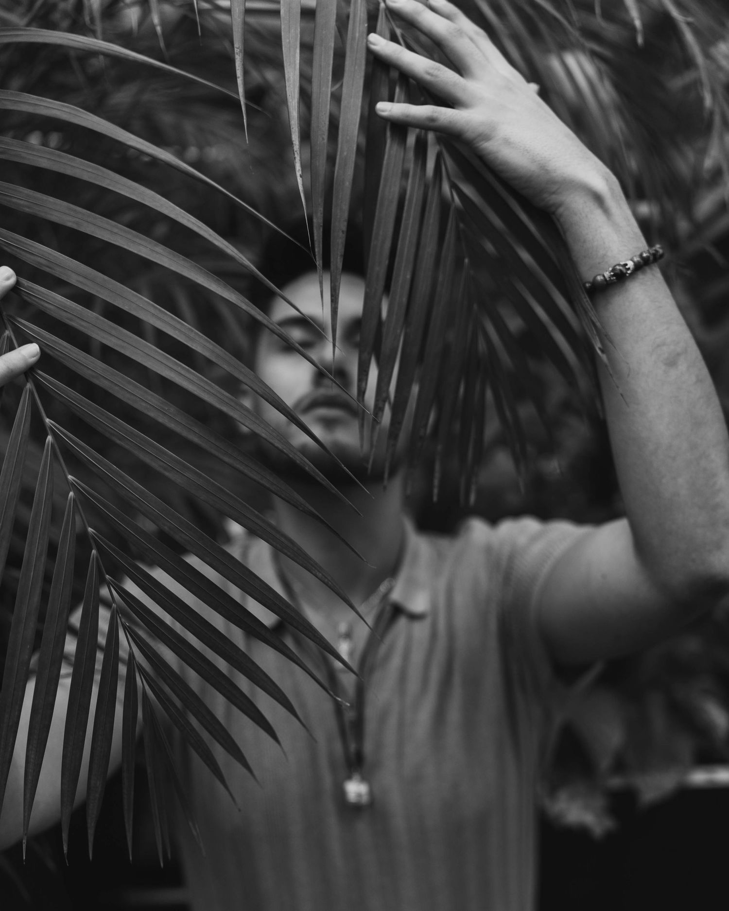 Black and white photo of hands reaching through tropical palm fronds creating a dramatic silhouette effect.