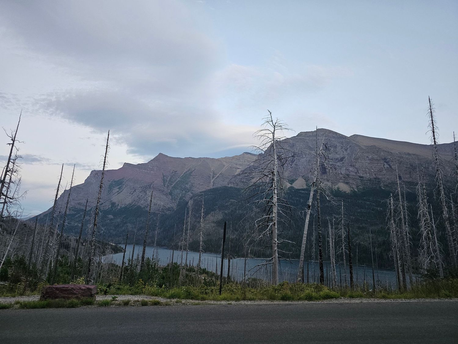 A panoramic view of a mountain lake surrounded by dead trees and rugged peaks under cloudy skies.
