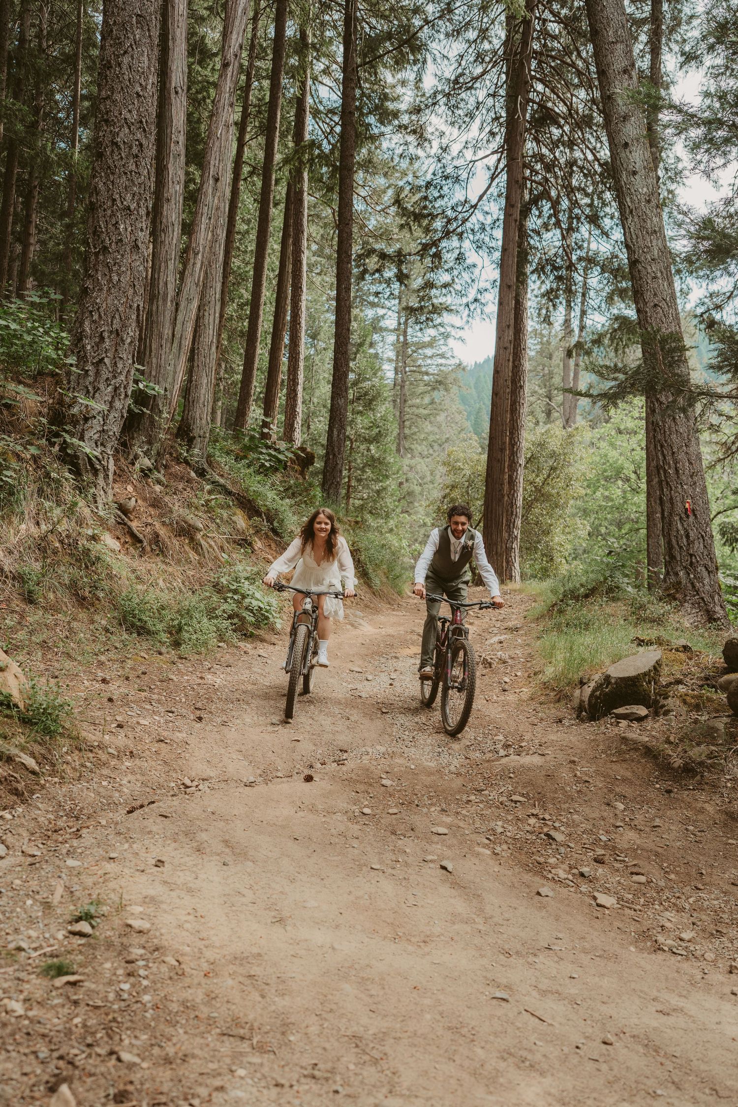 Mountain bikers riding on a winding dirt trail through a scenic evergreen forest before their wedding ceremony.