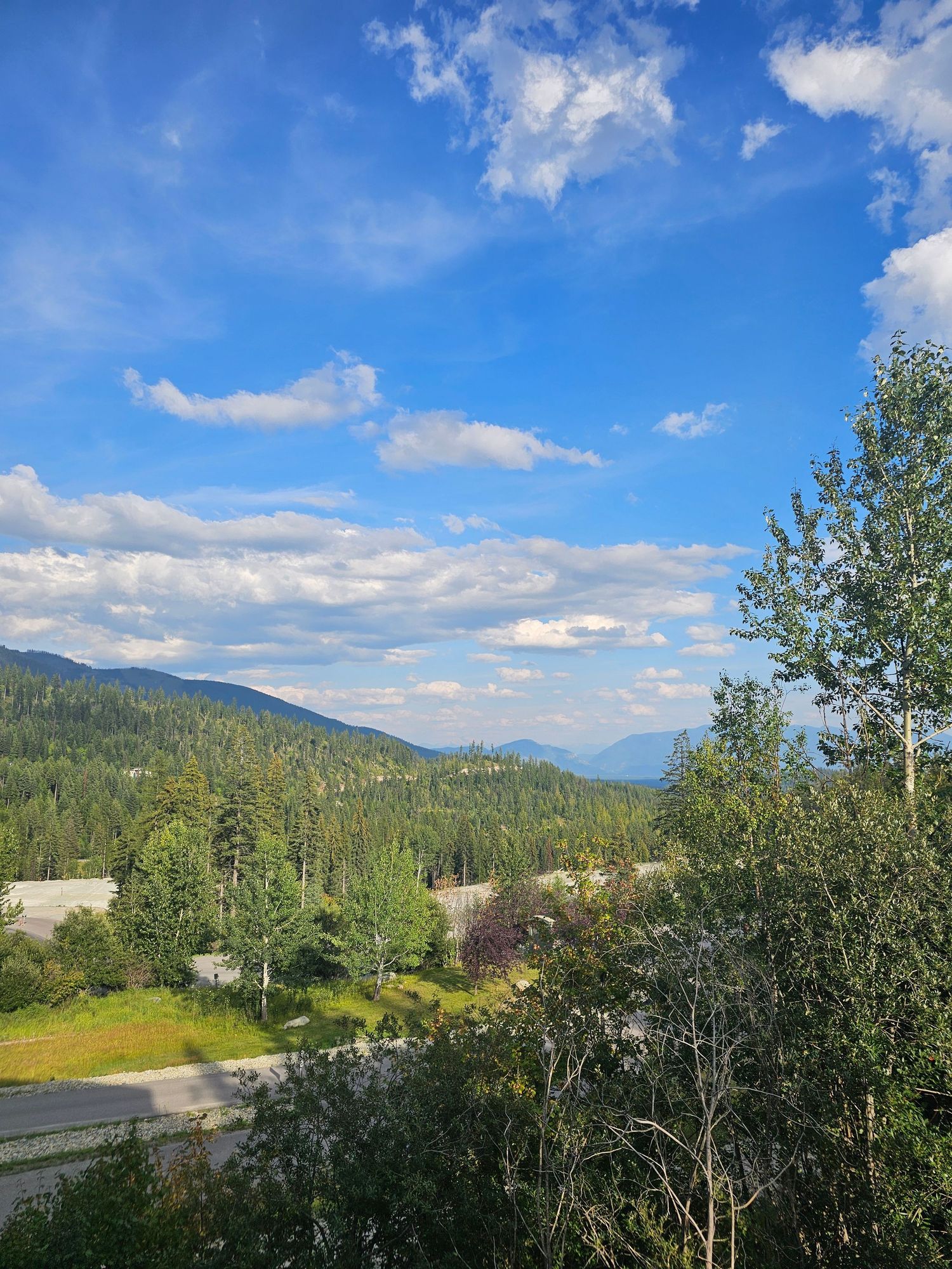 Scenic mountain landscape with lush green trees and blue skies with white puffy clouds stretching across the horizon.