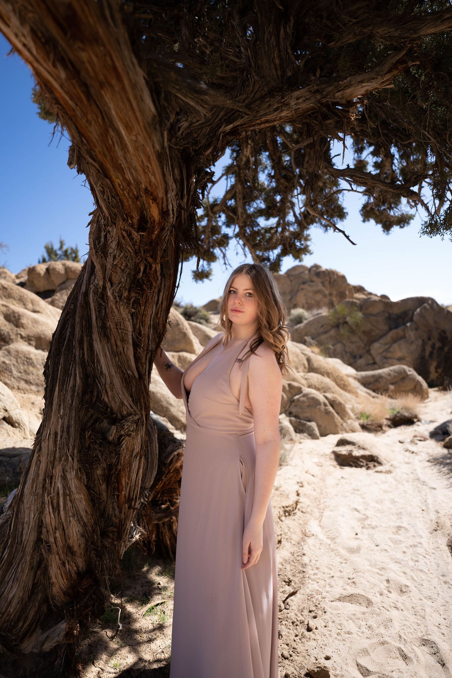 Woman in elegant beige maxi dress poses beside ancient gnarled tree in desert rocky landscape under blue sky.