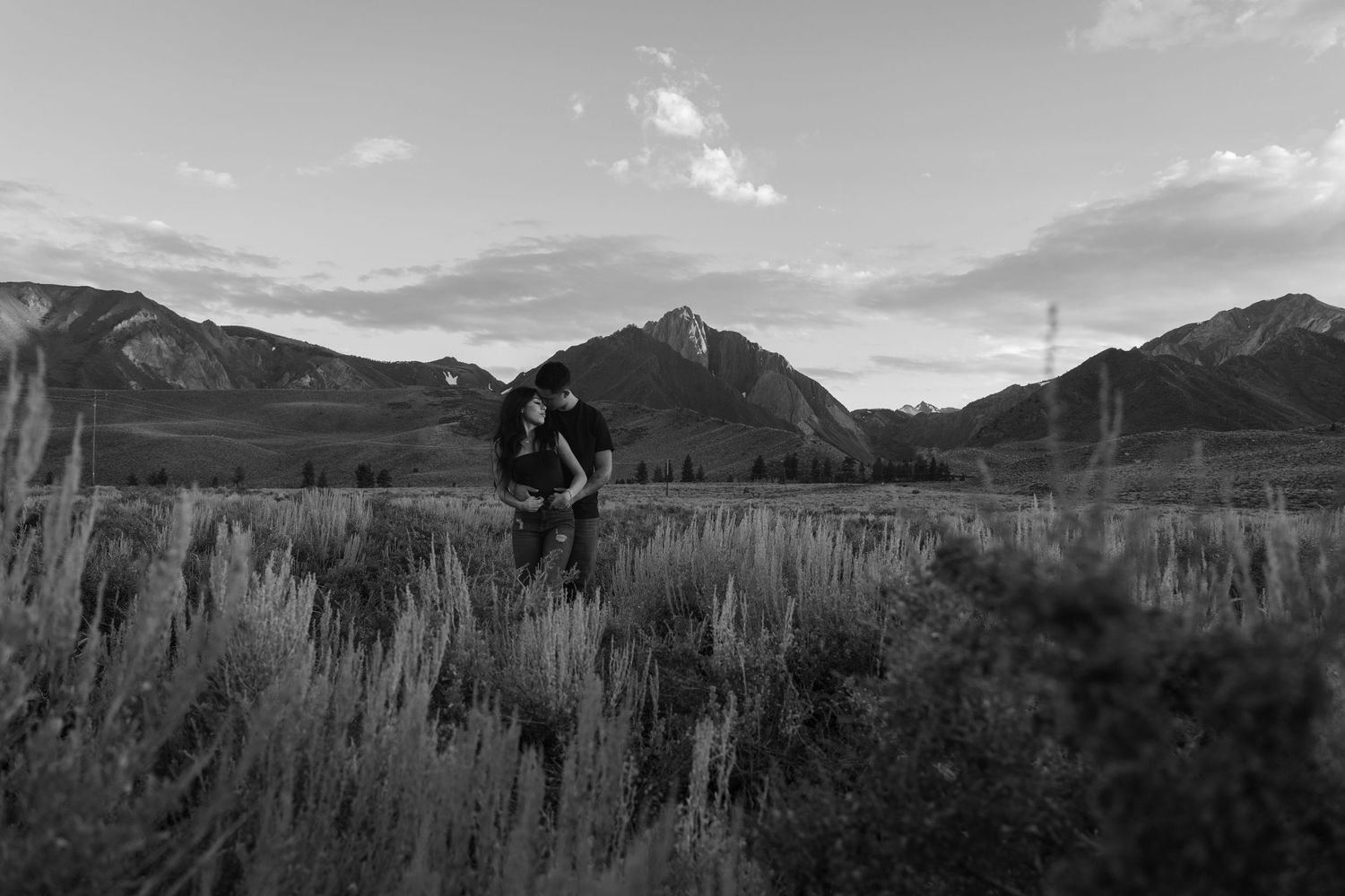 A panoramic black and white landscape showing rugged mountains and grassy fields stretching into the distance.