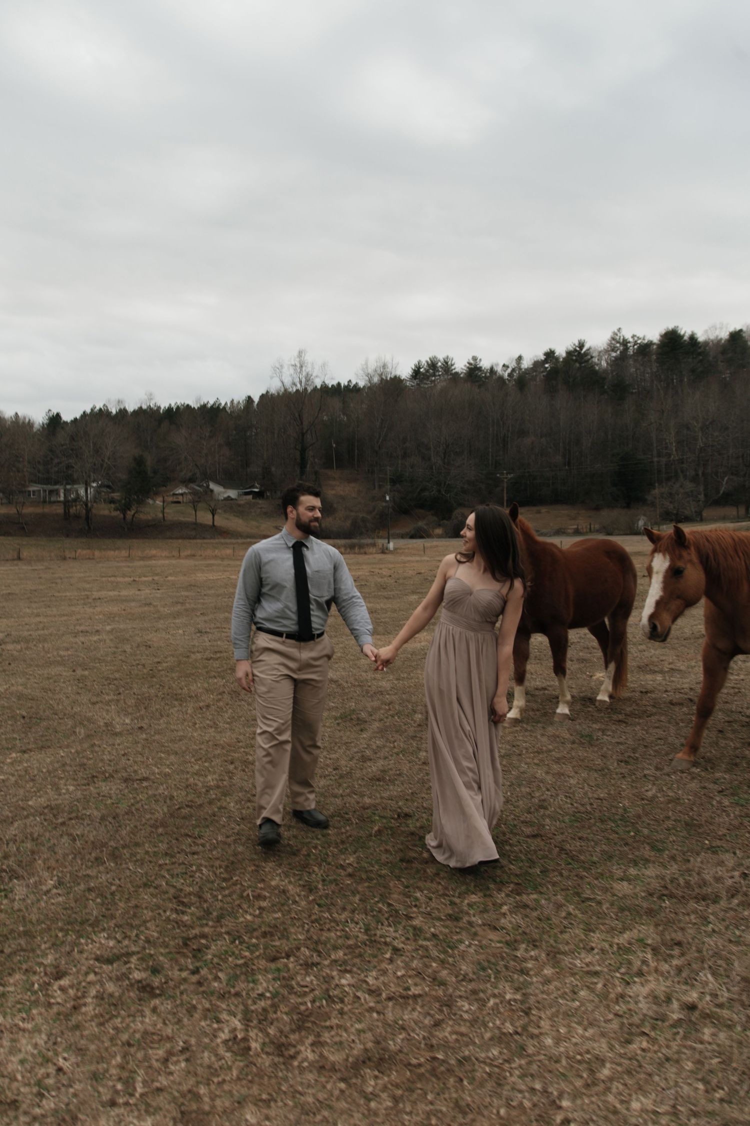 A couple holds hands walking through a field with brown horses and a forest backdrop on an overcast day. marietta sc