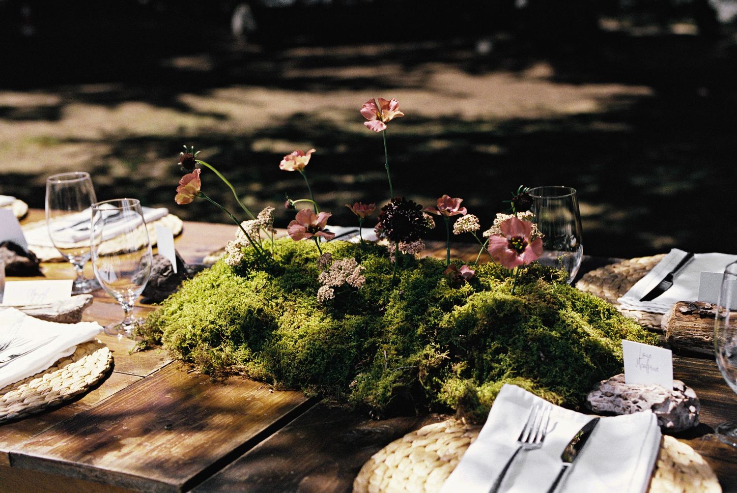 Big Sur Film Photography Wedding