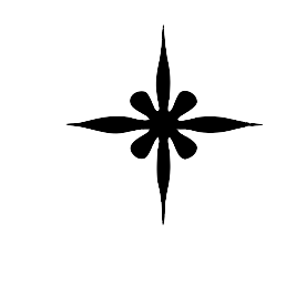 Black decorative star compass rose symbol with four pointed tips and floral center design on white background.