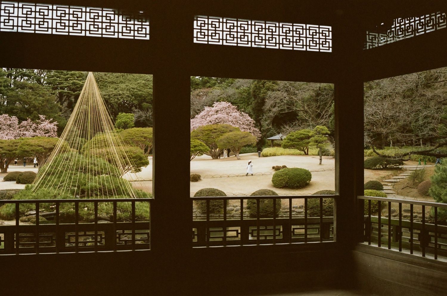 Traditional Japanese garden pavilion framing a serene landscape with cherry blossoms and a decorative pine tree support structure.