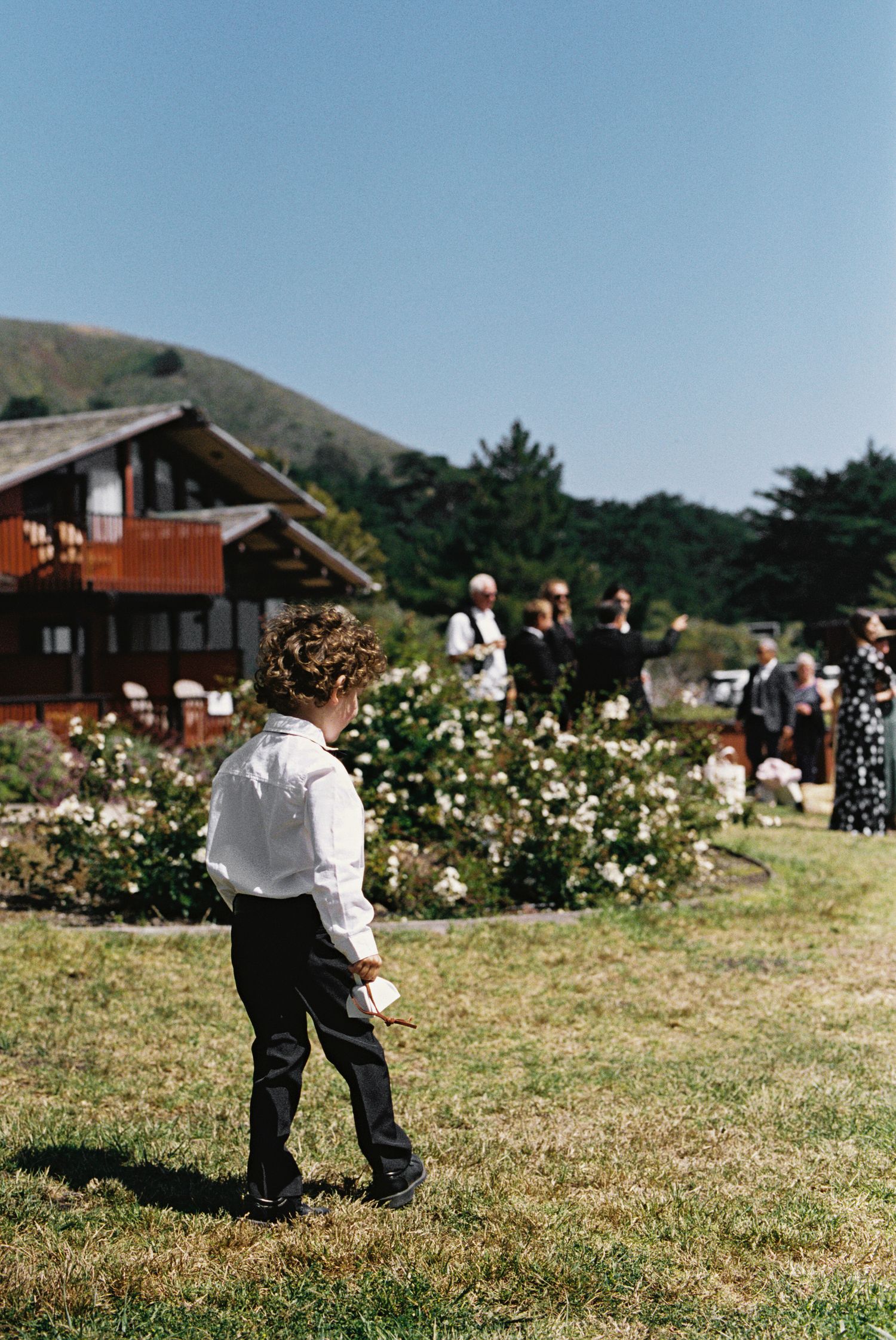 Big Sur Film Photography Wedding
