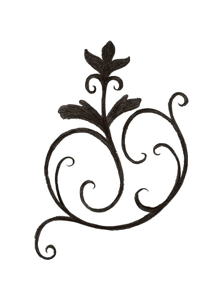 Dark iron decorative scroll ornament with floral motif and elegant curling vines on white background.