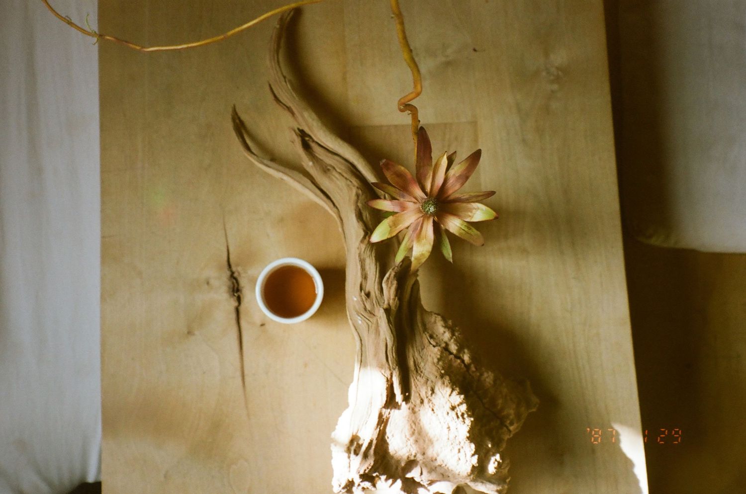 Wooden board with carved floral sculpture, driftwood base, and small ceramic cup with tea on rustic surface.