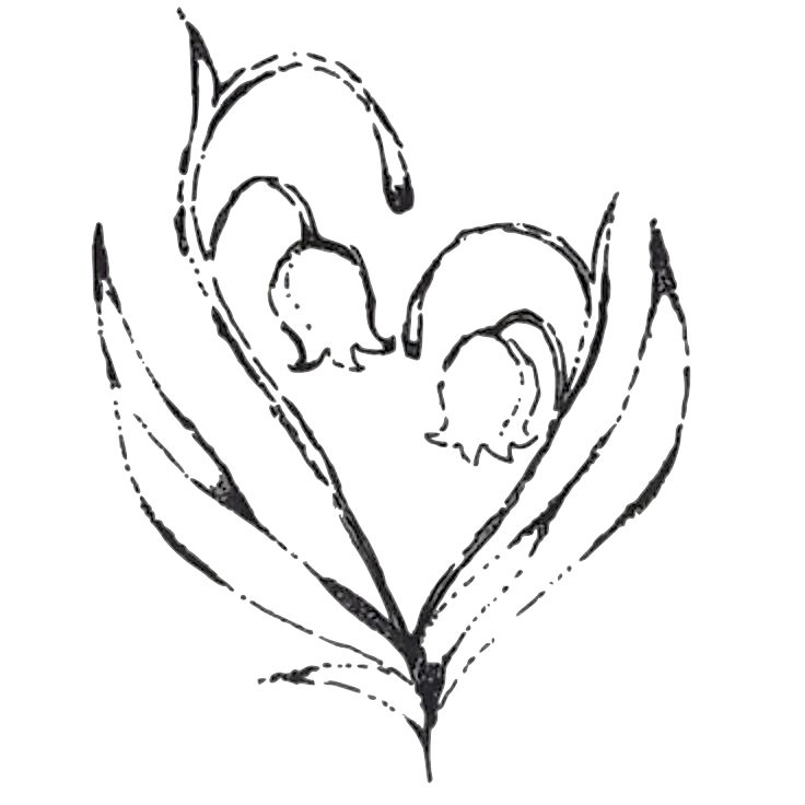 Hand-drawn ink sketch of two lily of the valley flowers arranged in a heart shape with leaves.