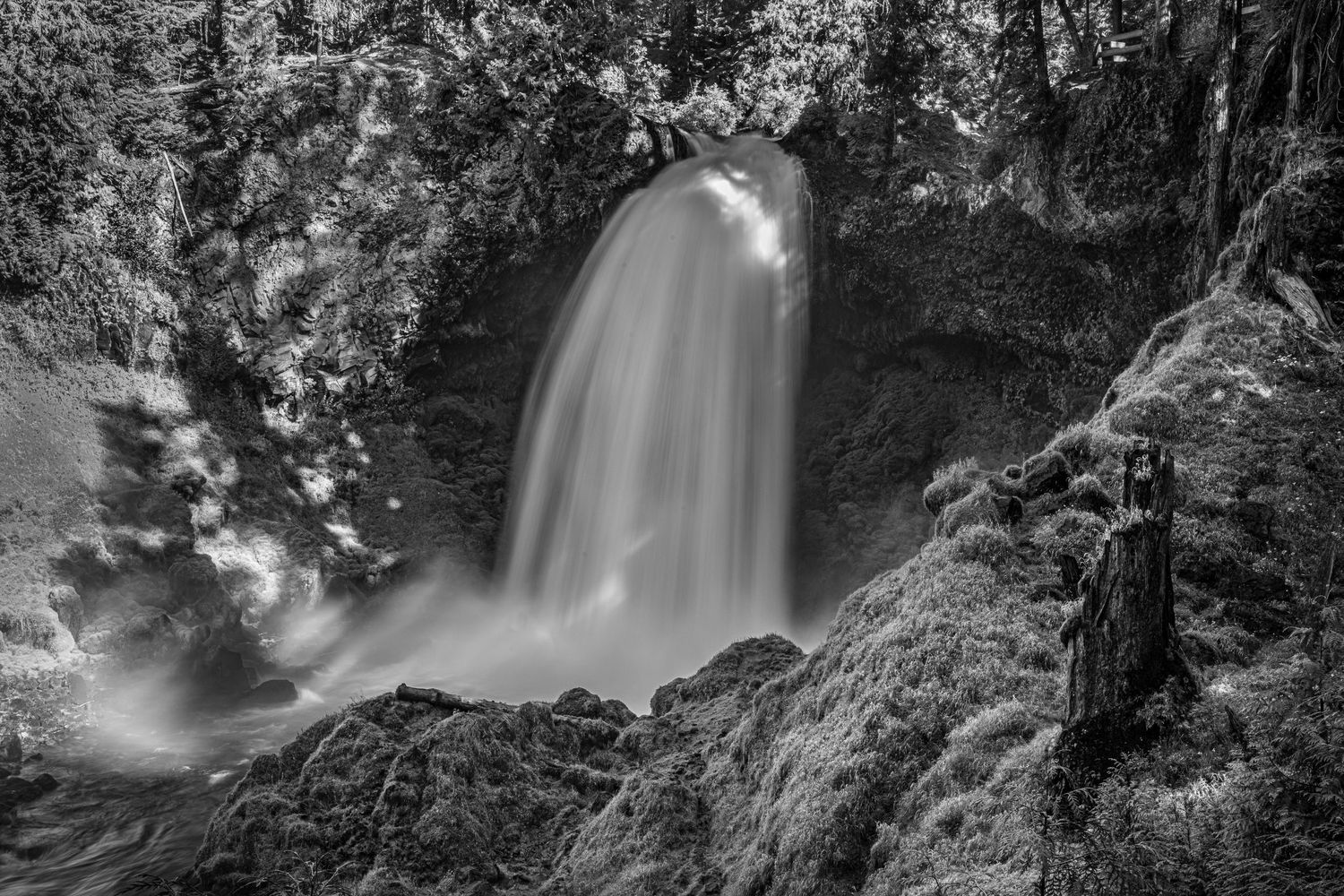 Black and white long exposure photograph of a waterfall cascading over mossy rocks in a forest.