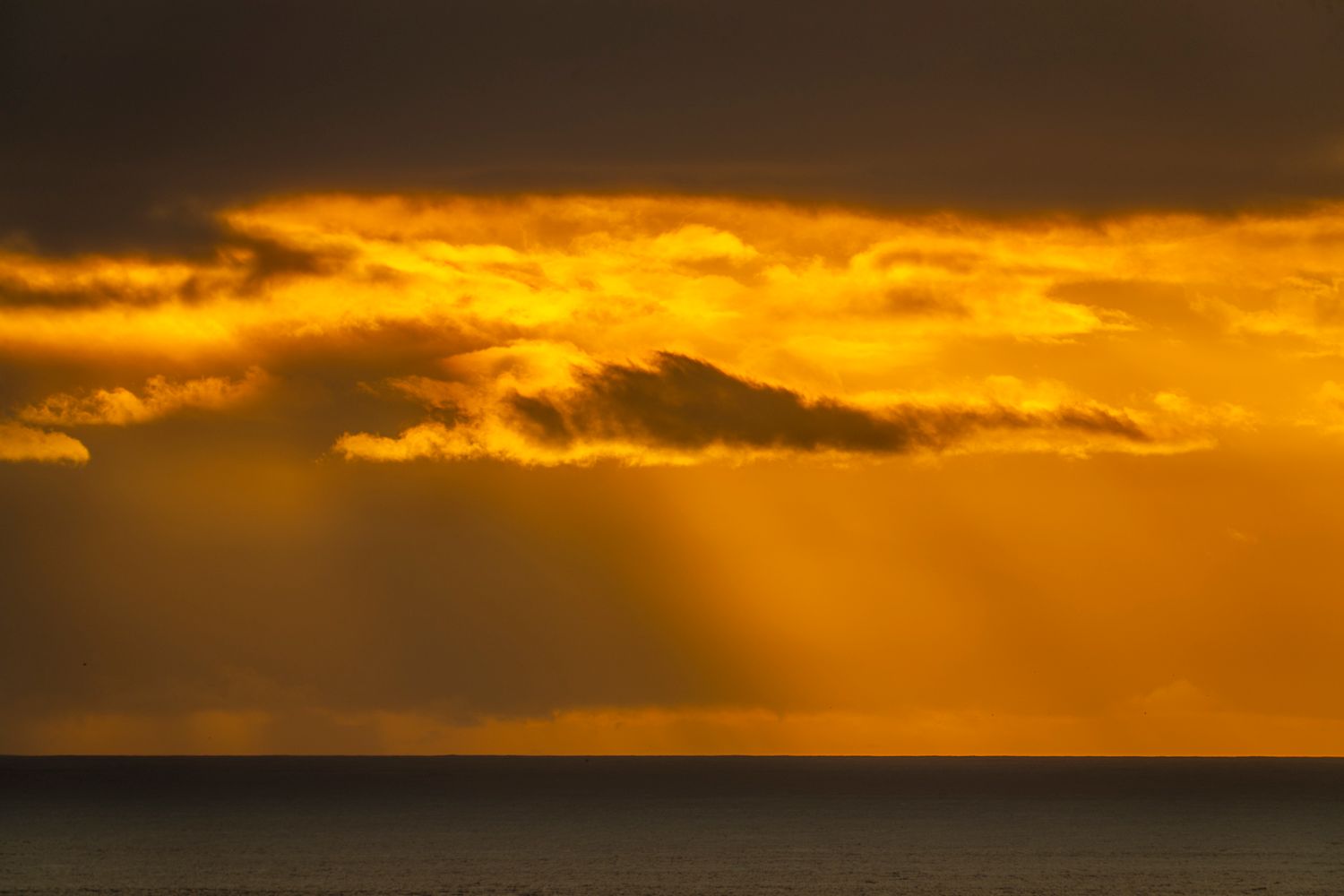 Dramatic golden sunset with rays of light streaming through dark clouds over calm ocean horizon.