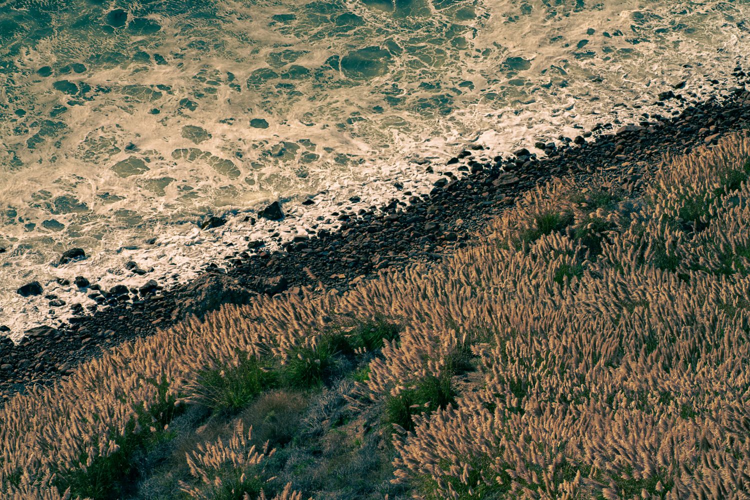 Aerial top-down view of ocean waves meeting a rocky shoreline with coastal vegetation.