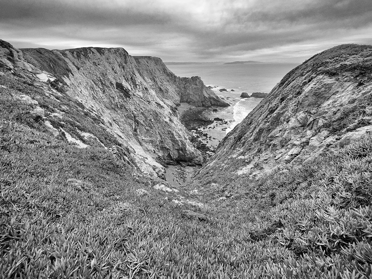Black and white image of a rugged coastal ravine with grassy slopes and ocean visible in the distance.