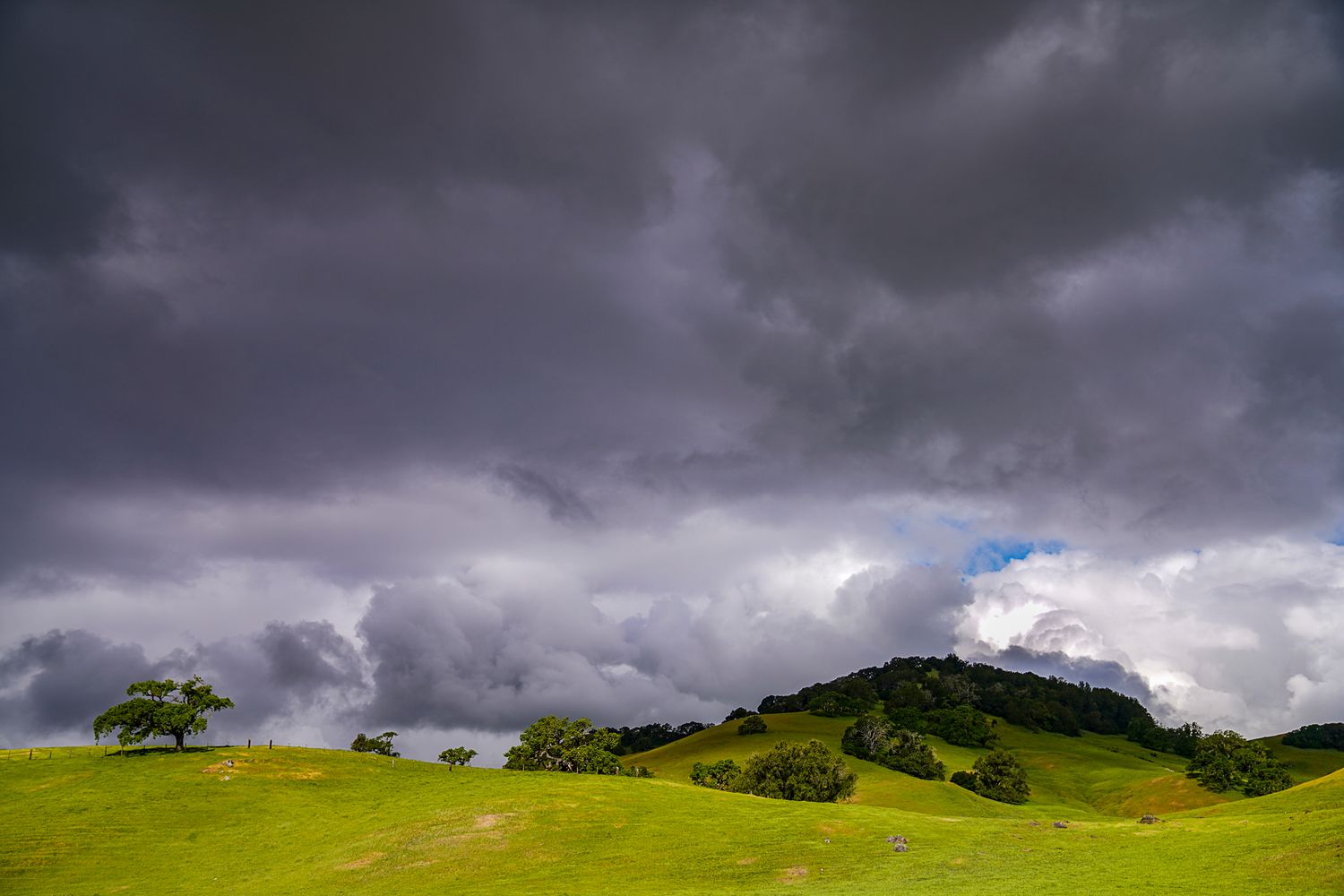 Dark storm clouds loom over a bright green hillside with wind-bent trees and a distant mountain peak.