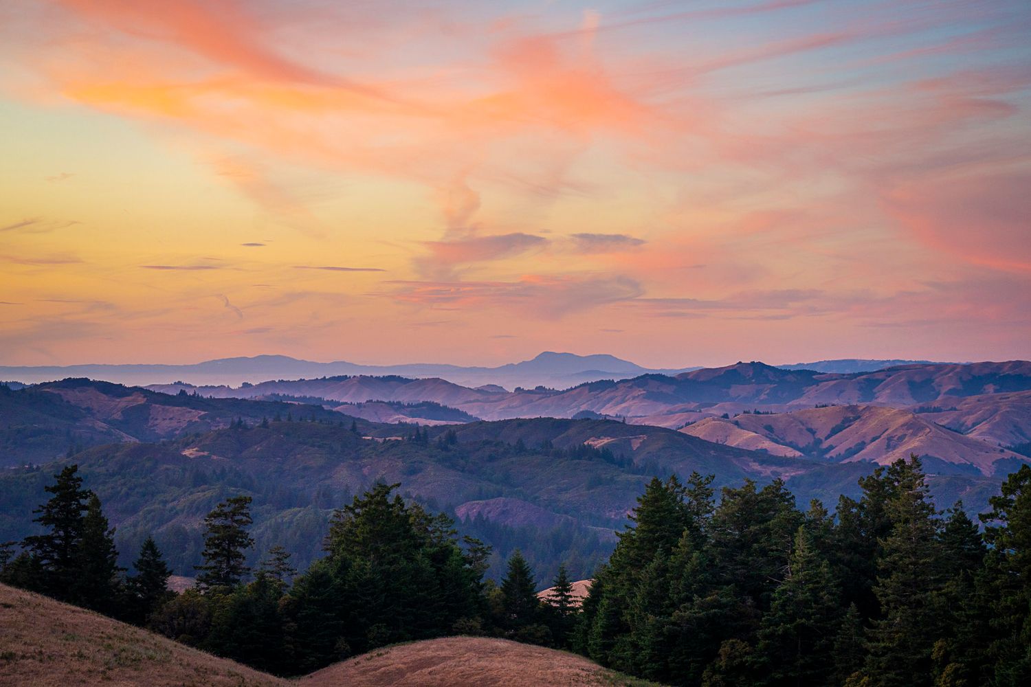 Stunning sunset over rolling hills with silhouetted evergreen trees and vibrant pink and orange sky.