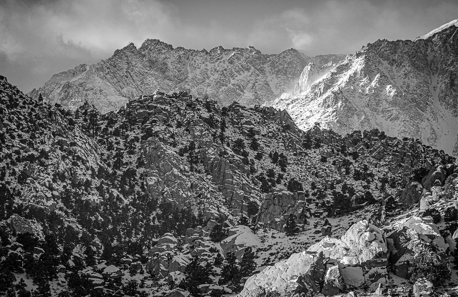 Dramatic black and white landscape of snow-capped rocky mountains with dense forest in the foreground.