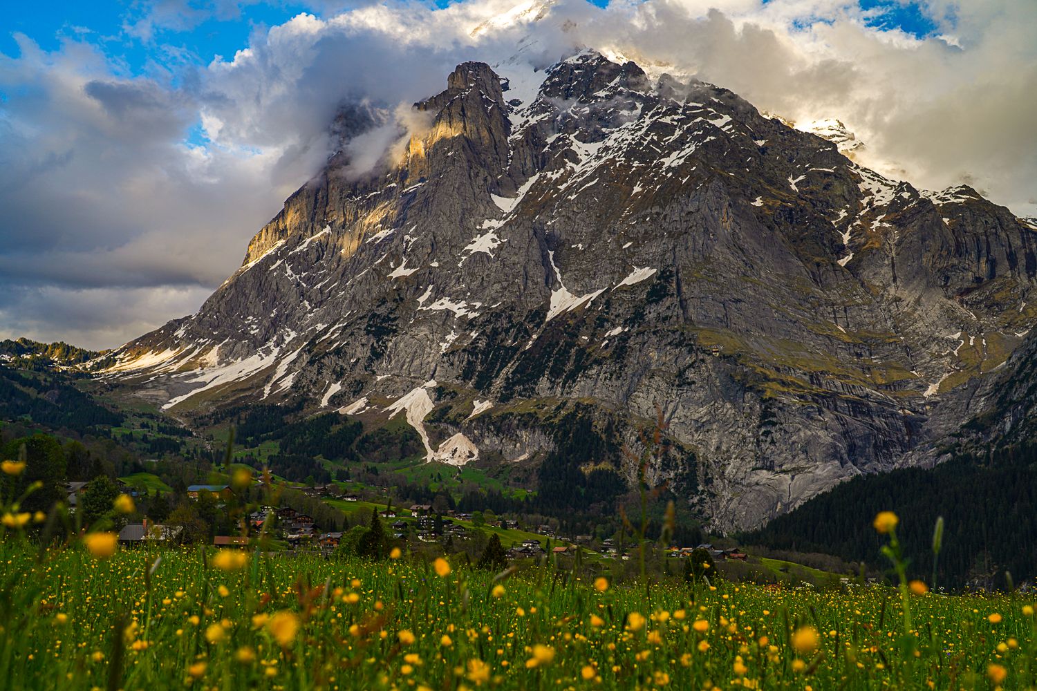 A majestic snow-capped Alpine mountain towers over a wildflower meadow with yellow blooms under dramatic cloudy skies.