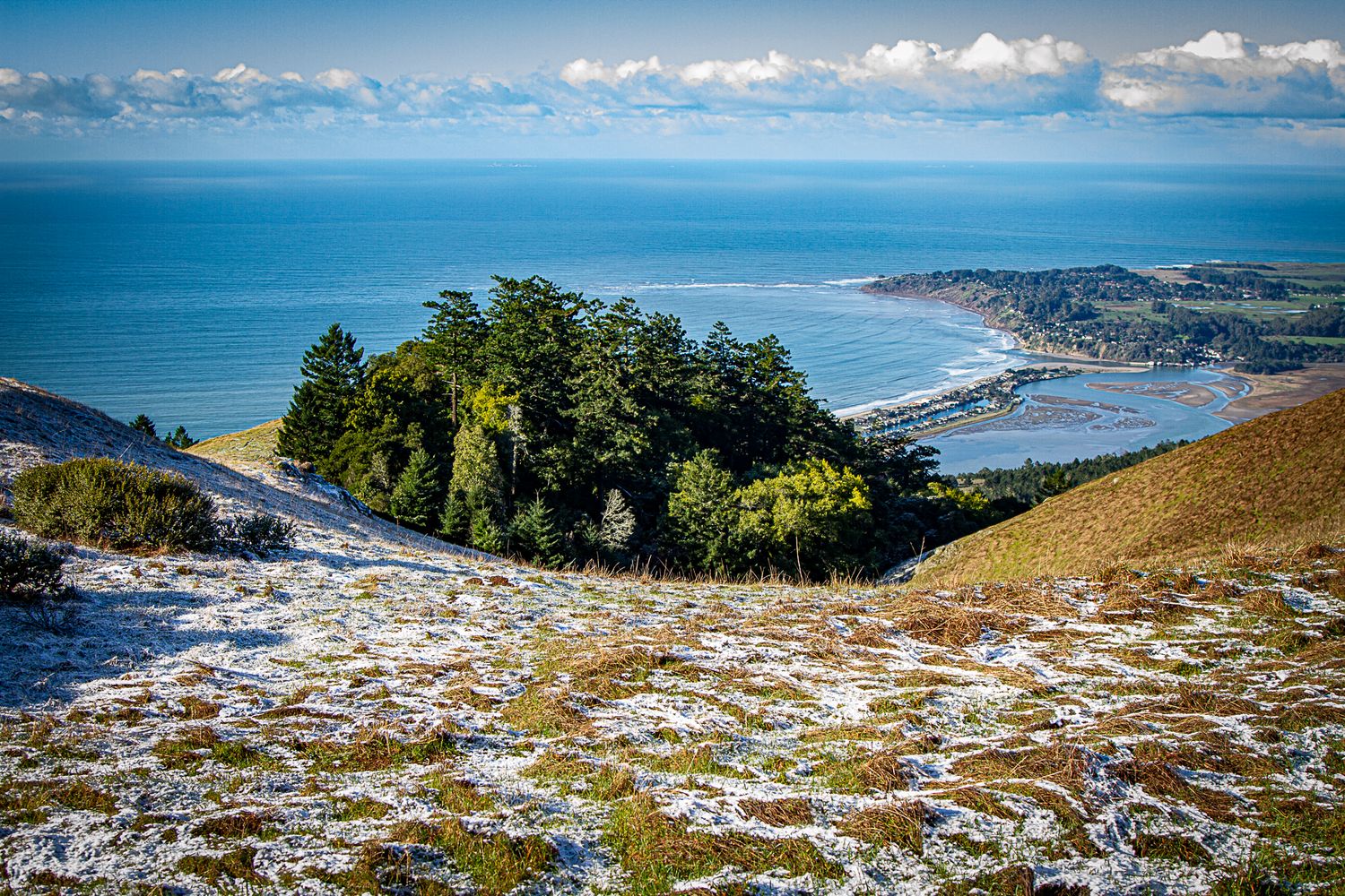 Snow-dusted coastal hillside with evergreen trees overlooking a scenic bay under a bright blue sky.