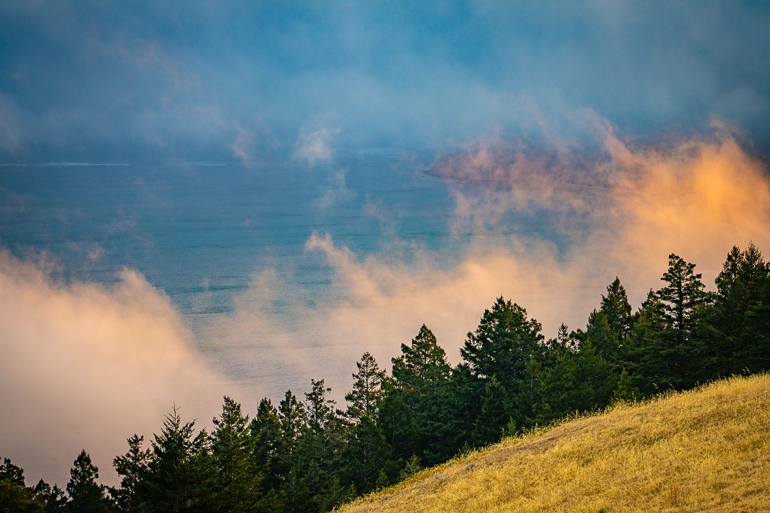 Dramatic clouds glow orange at sunset above a ridge of tall evergreen trees on a grassy hillside.